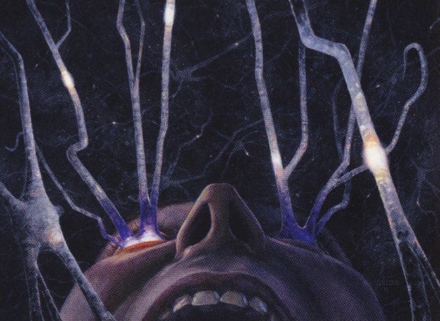 Fevered Visions: A Journey Through the Mind