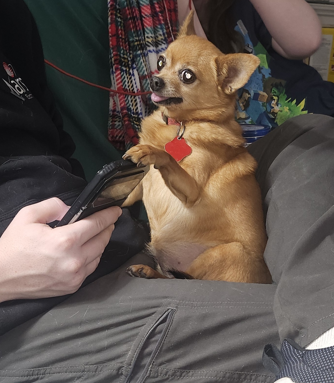 Hey, Can I Get Your Attention Over Here?
