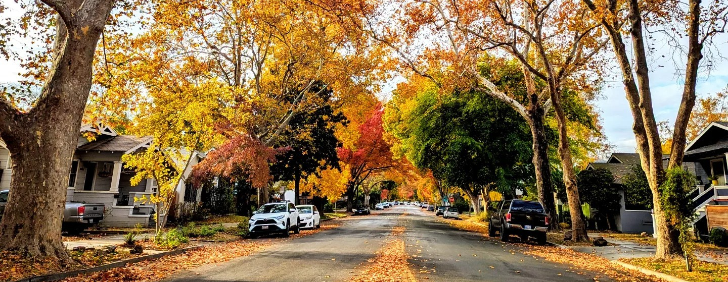Autumn hues in Midtown Sacramento