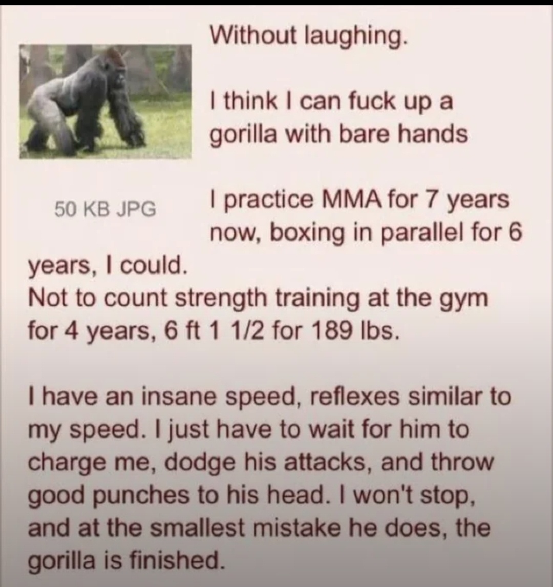 Just imagine the wild 10 seconds before the gorilla goes full beast mode!