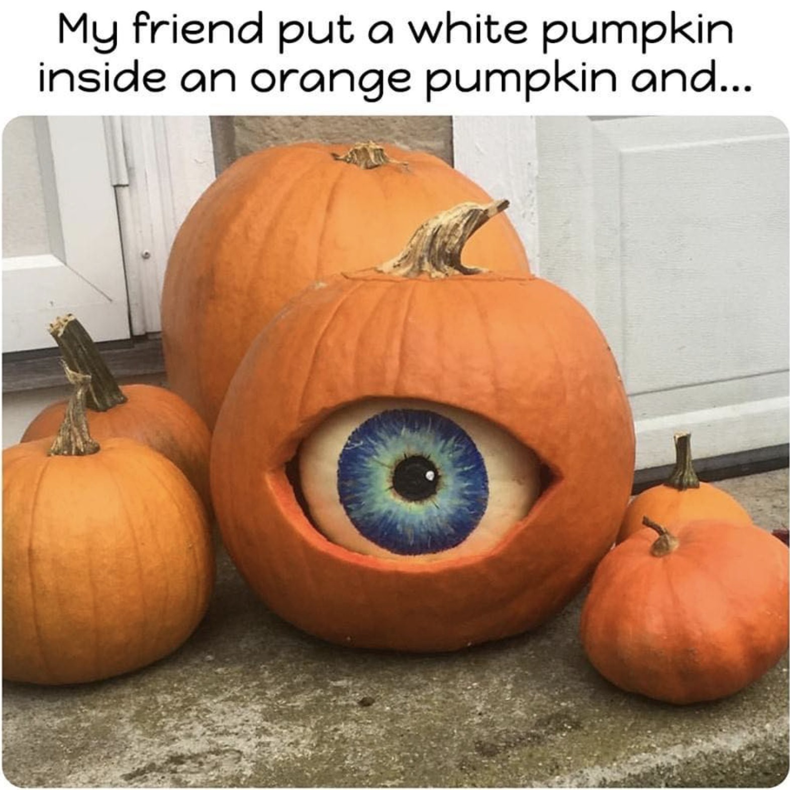 The Great Pumpkin: A Seasonal Delight