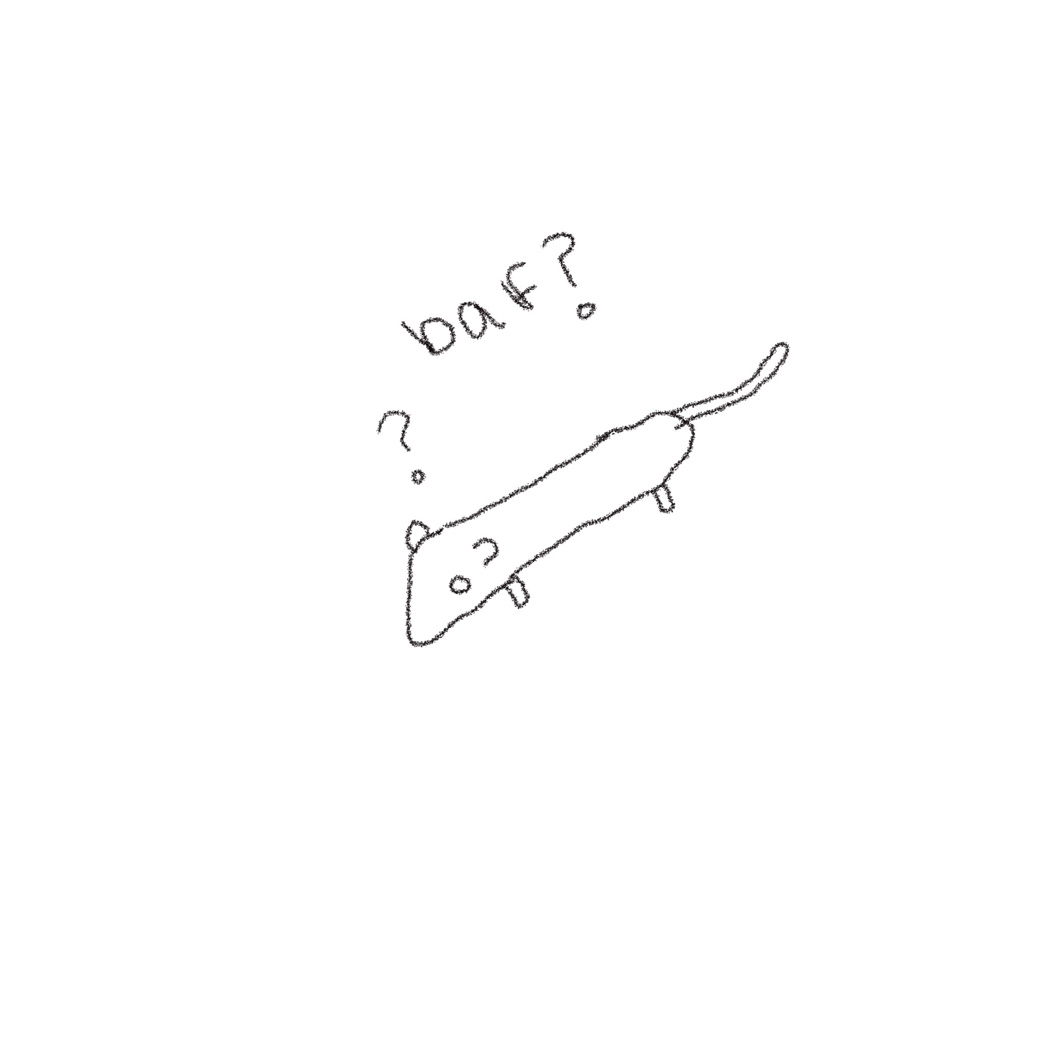 My Passion: Drawing My Ferret in the Most Hilarious Way