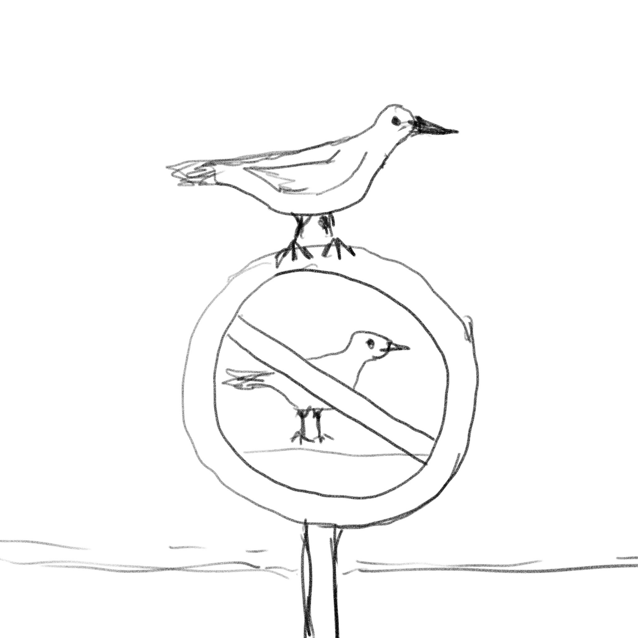 Just add a bird to make it better