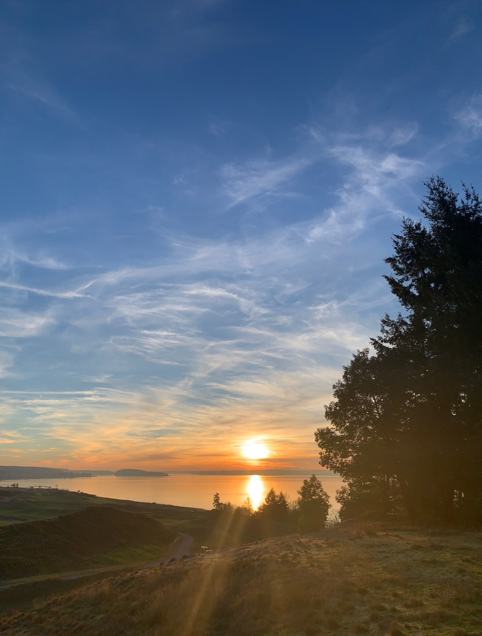 Breathtaking Sunset Views from Tacomama, Washington