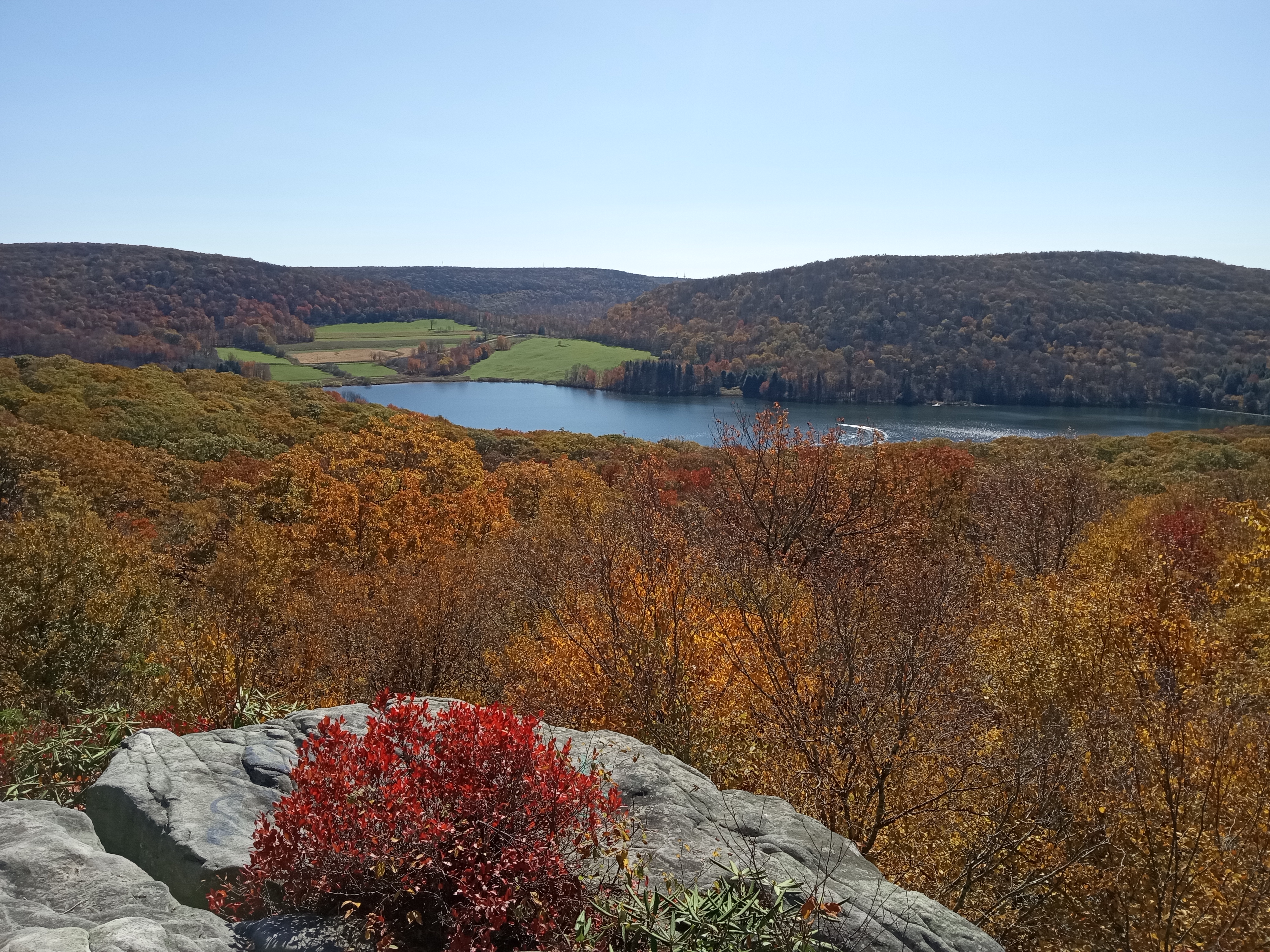 Mount Davis Natural Area: A Hidden Gem in Forbes State Forest - October 19, 2024