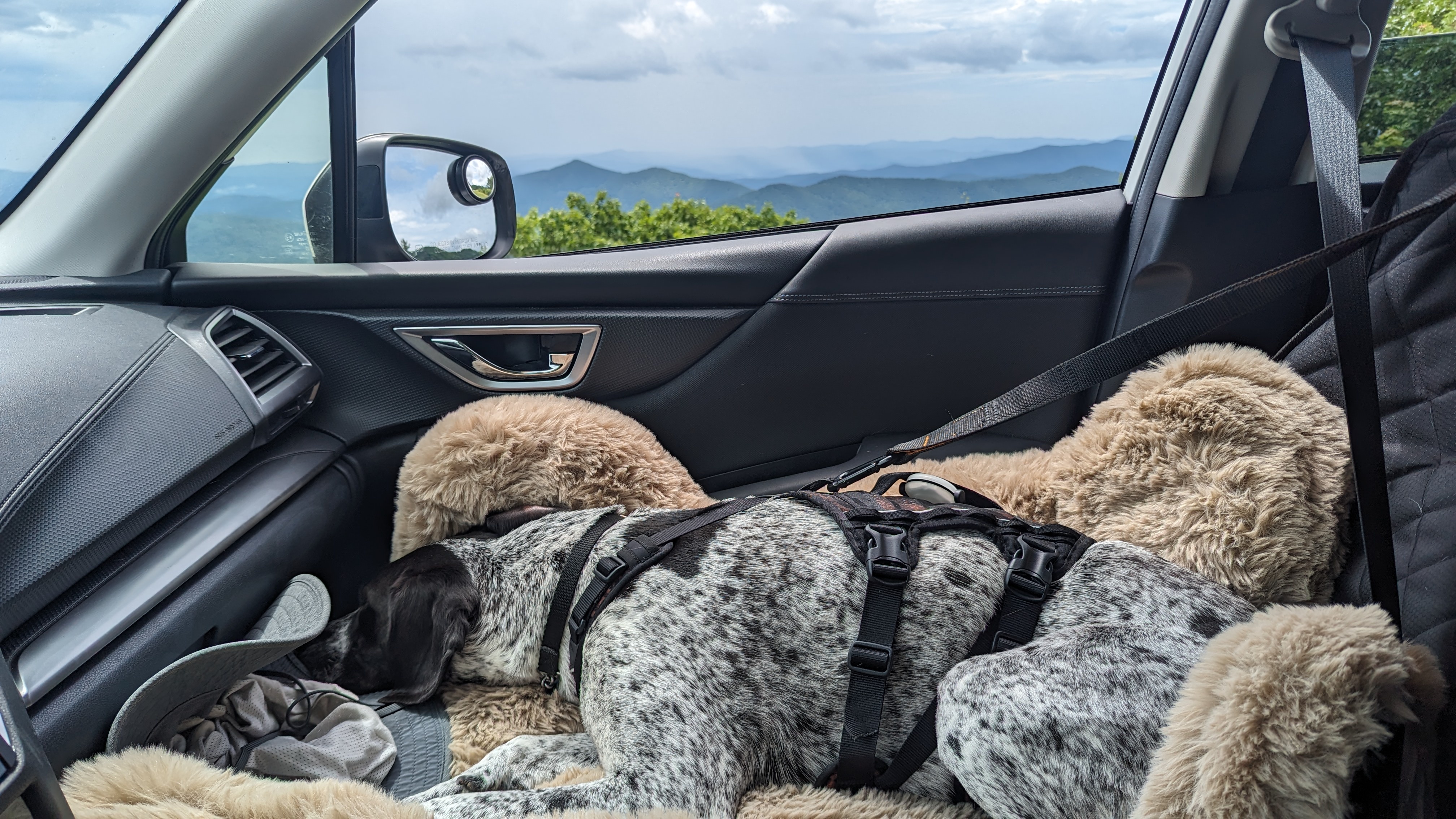 The Joys of Car Rides