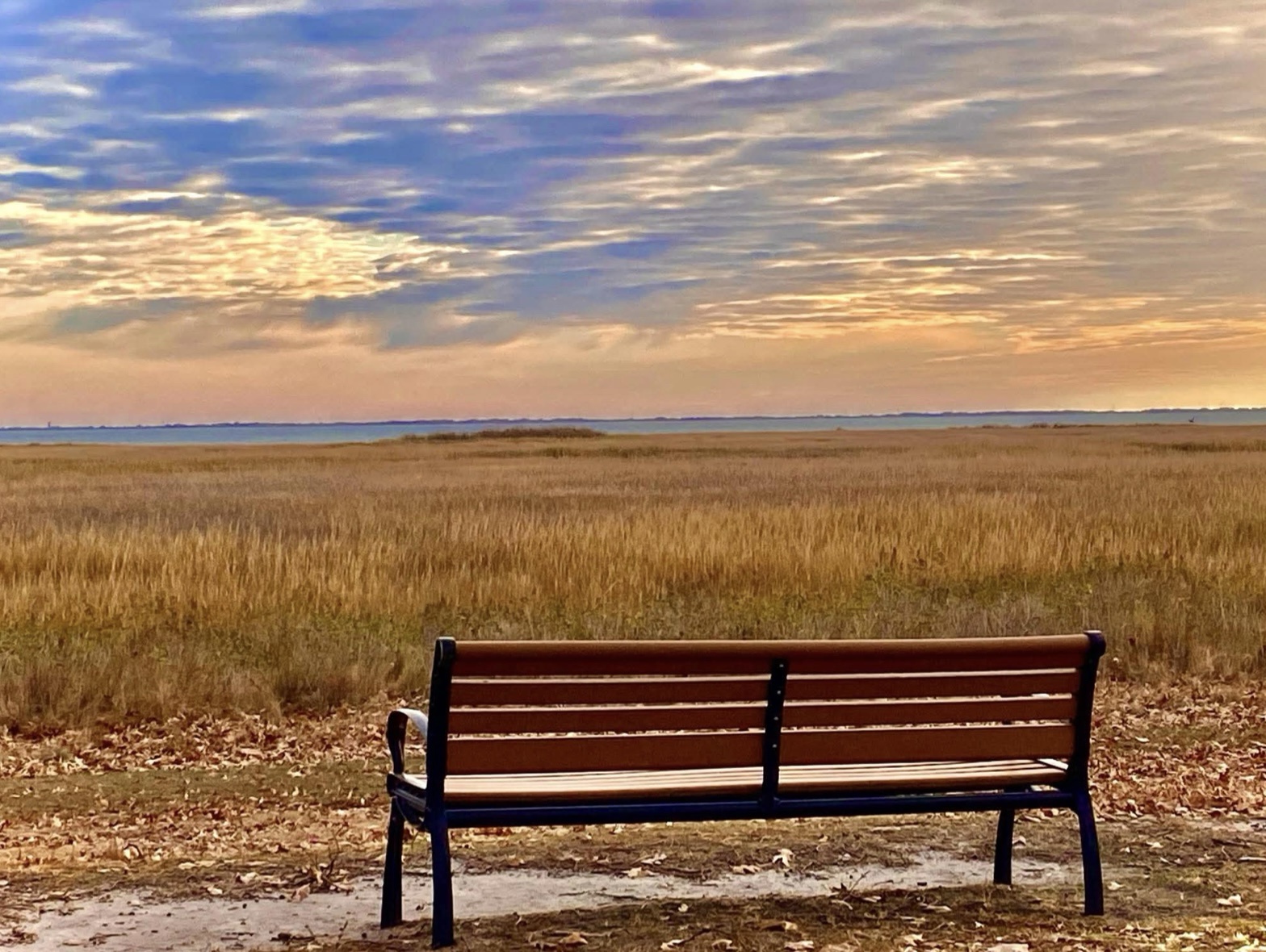 The Simple Beauty of a Bench