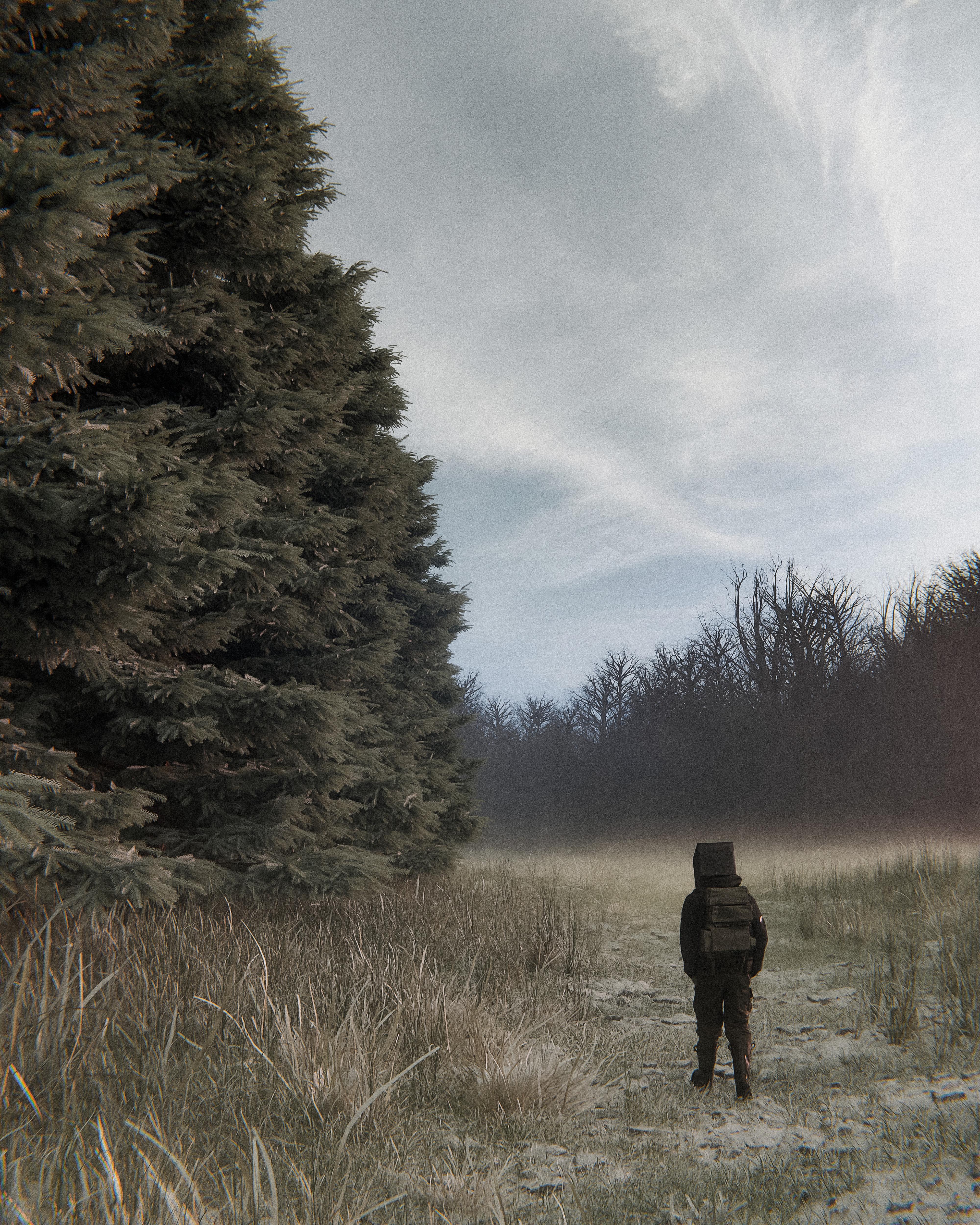 The first frost captured beautifully by huleeb.