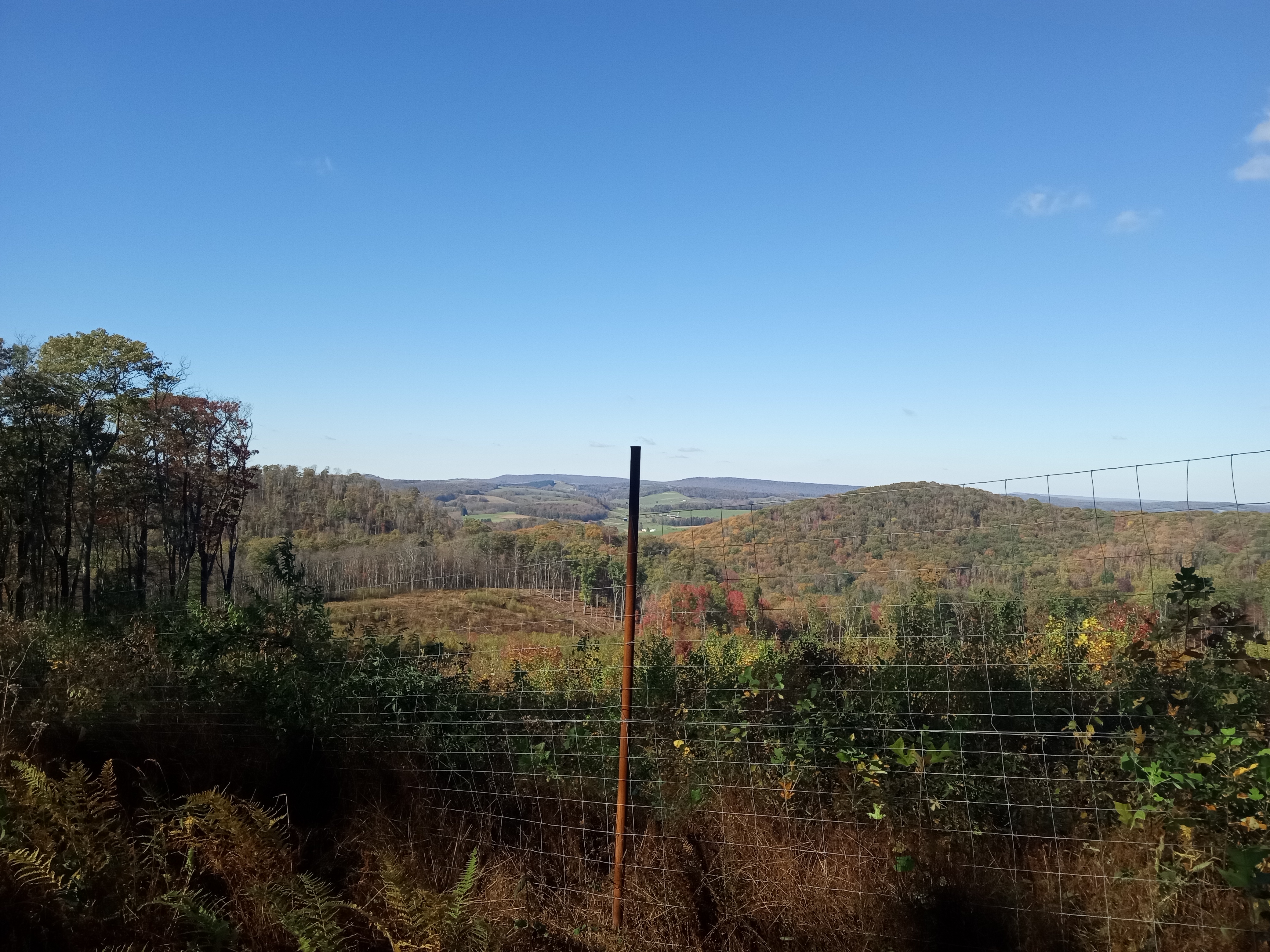 Exploring the Beauty of Monongahela National Forest in Eglon, WV on October 17, 2024