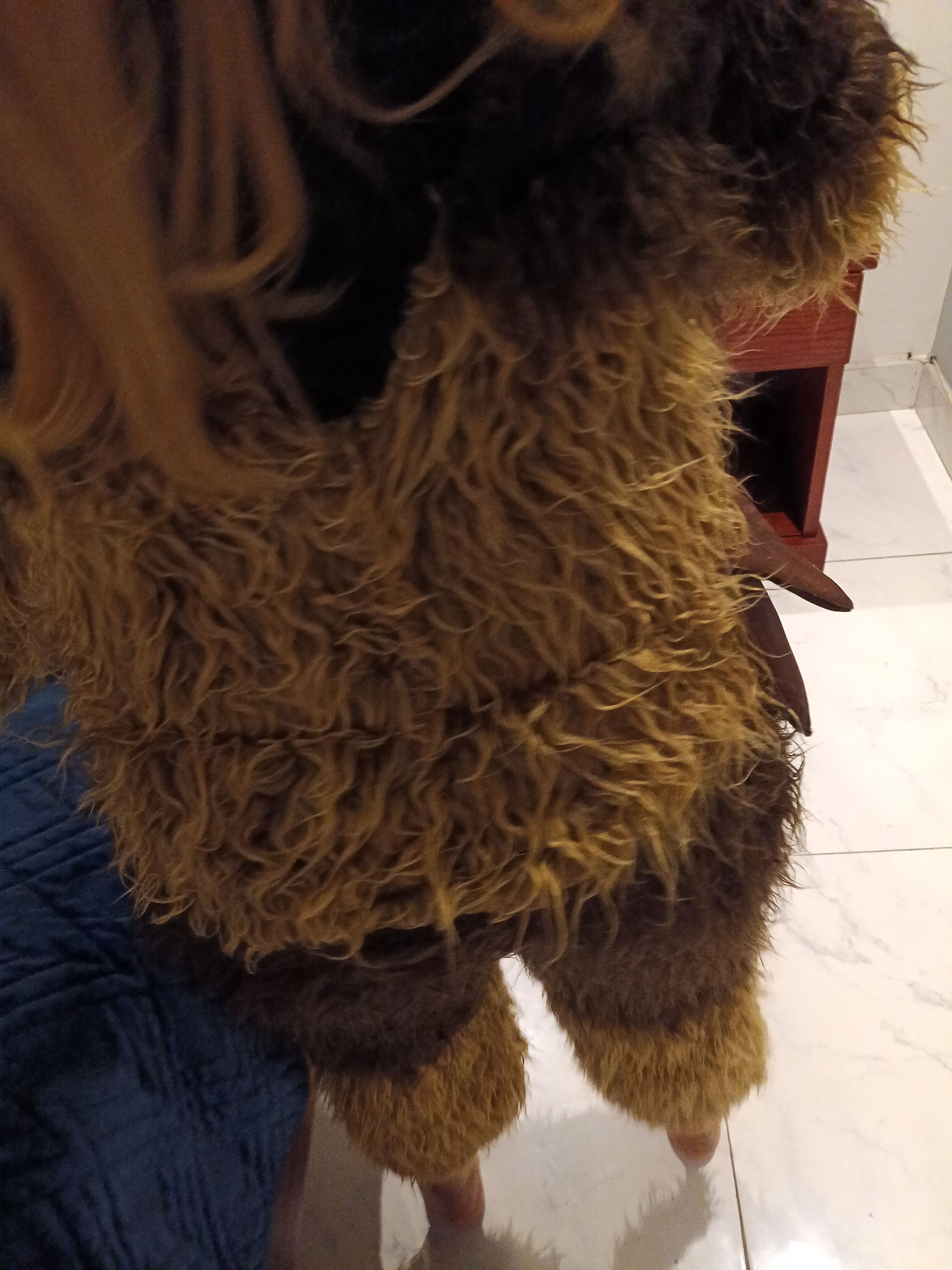 Introducing a charmingly sexy Chewbacca!