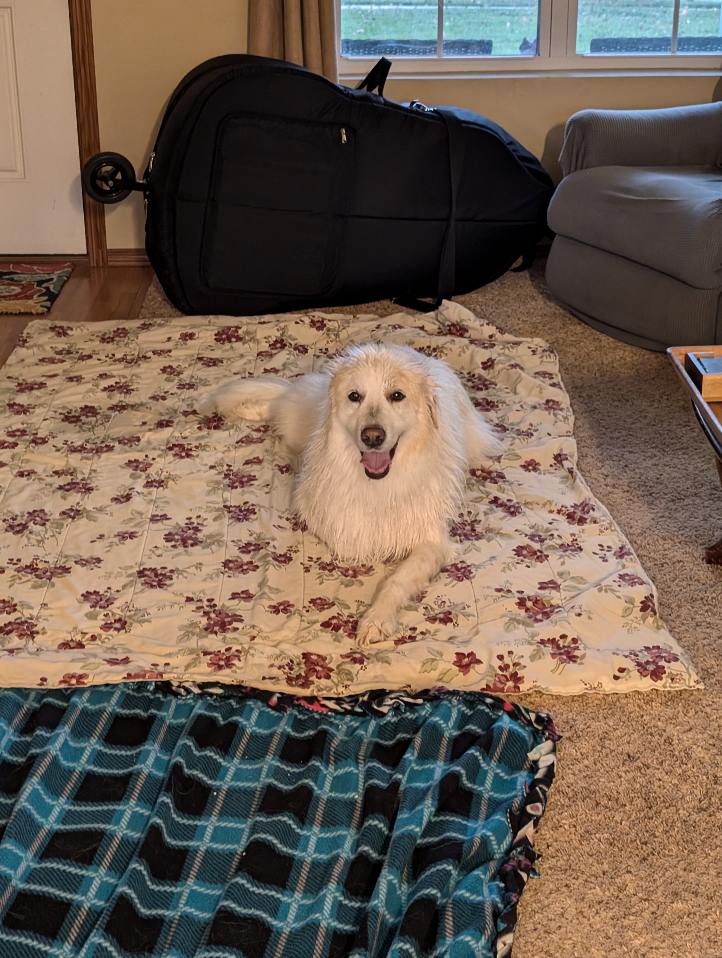 Winter Chronicles: Day 768 of the Frosty Adventure