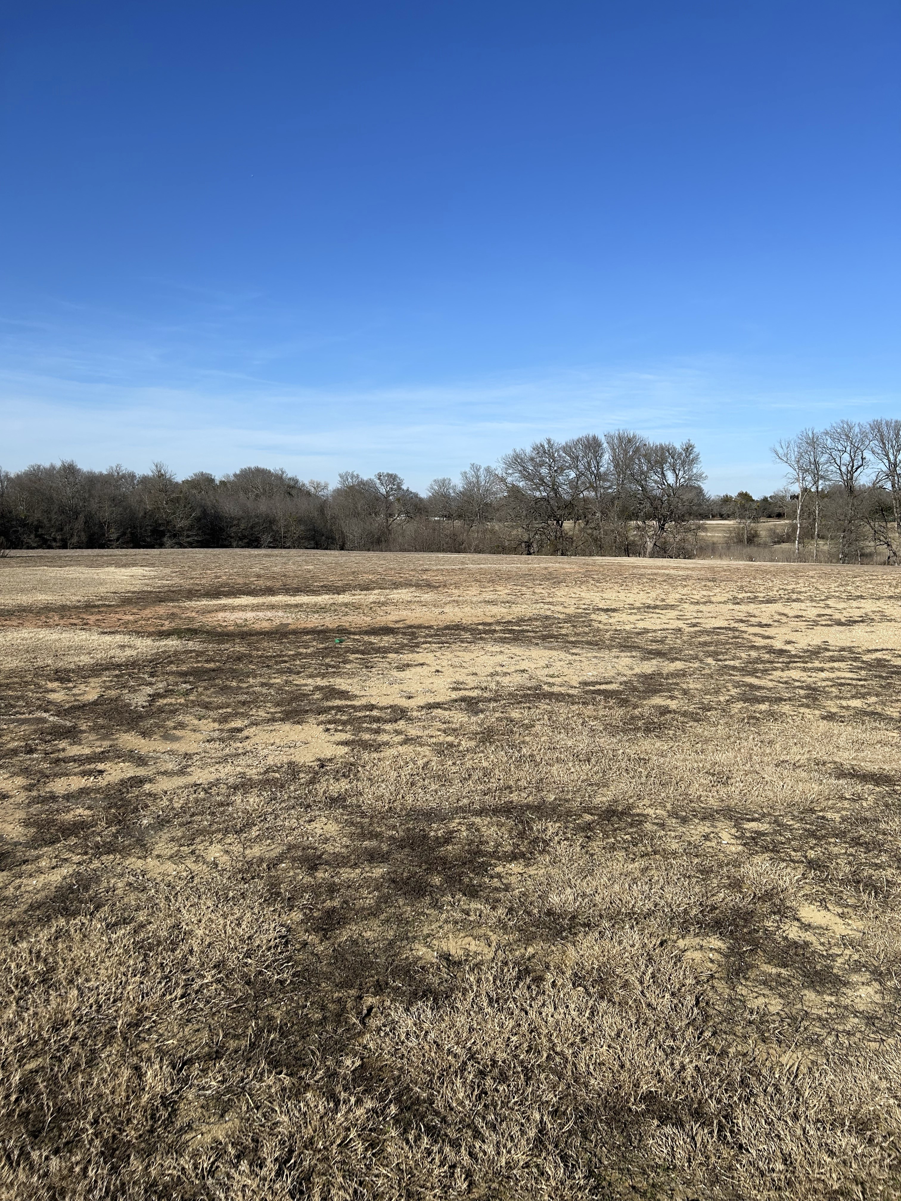 A Serene and Empty Field Awaits