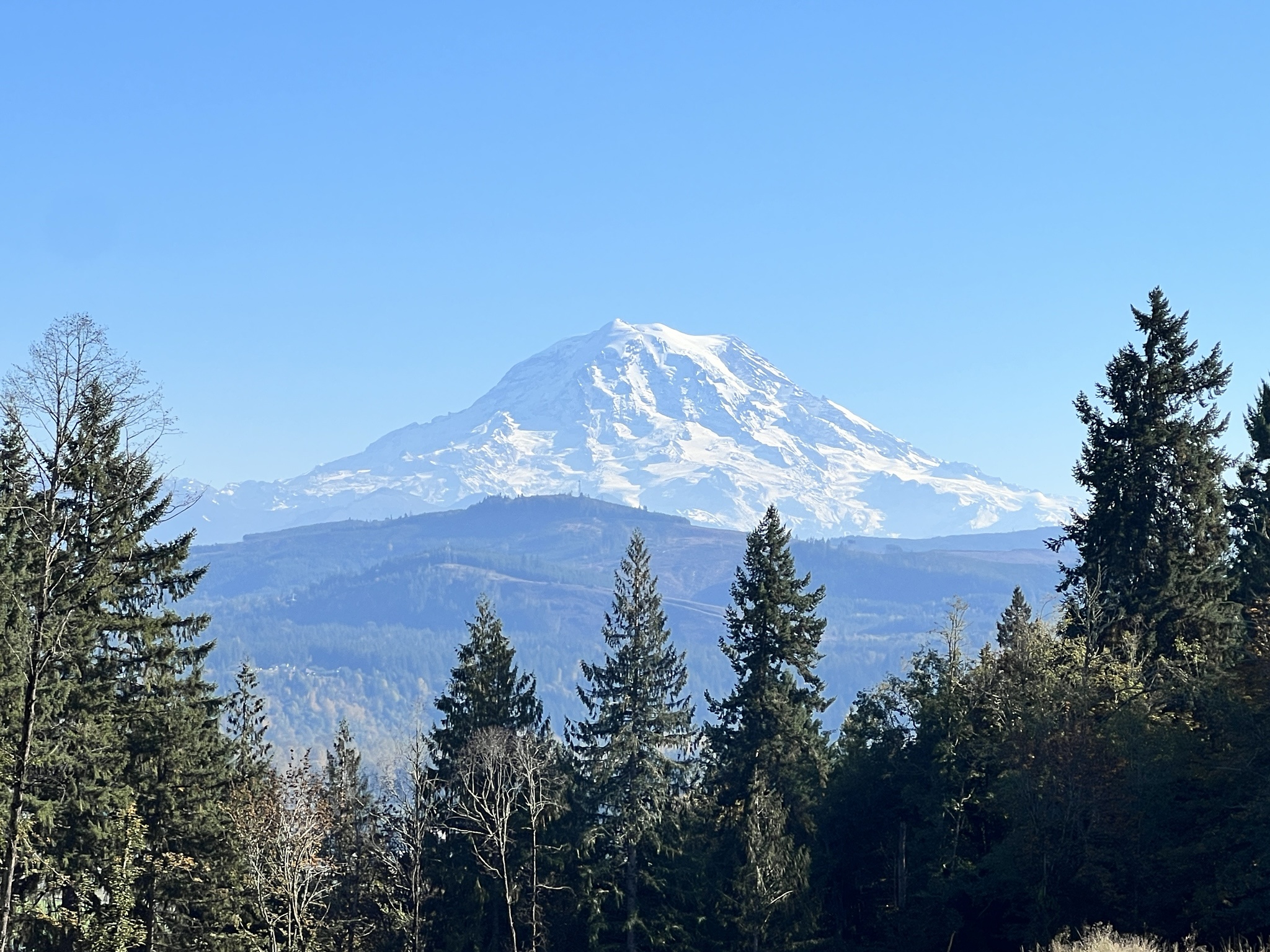 Majestic Views of Mt. Rainier