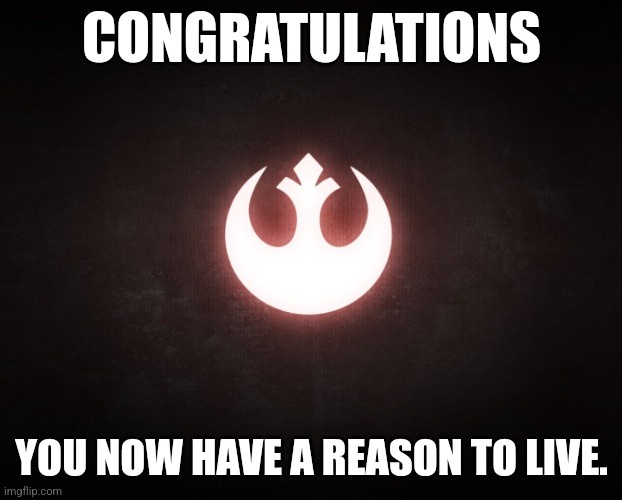 With a Cause to Fight For, You're Not Alone Anymore