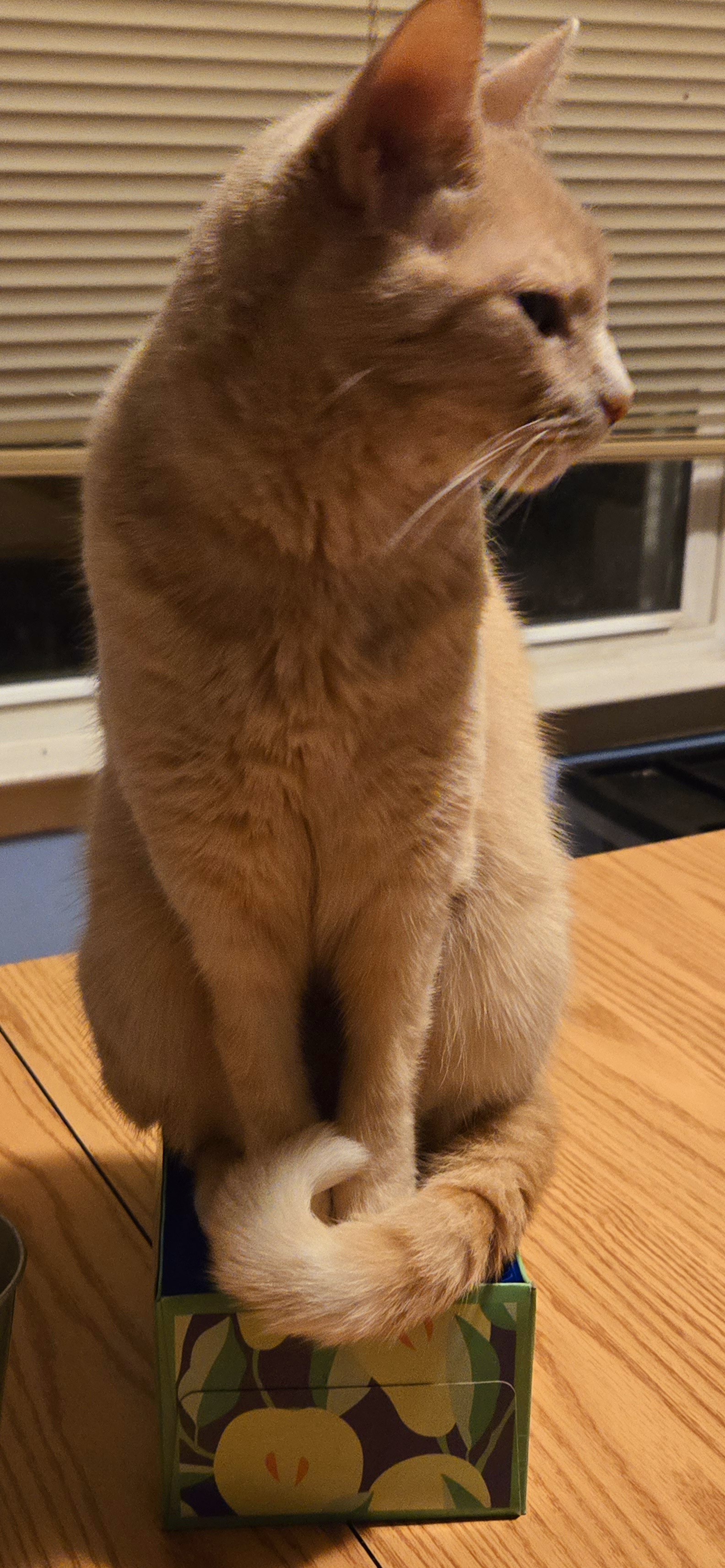 Claiming What's Yours: Dis Iz Mine!