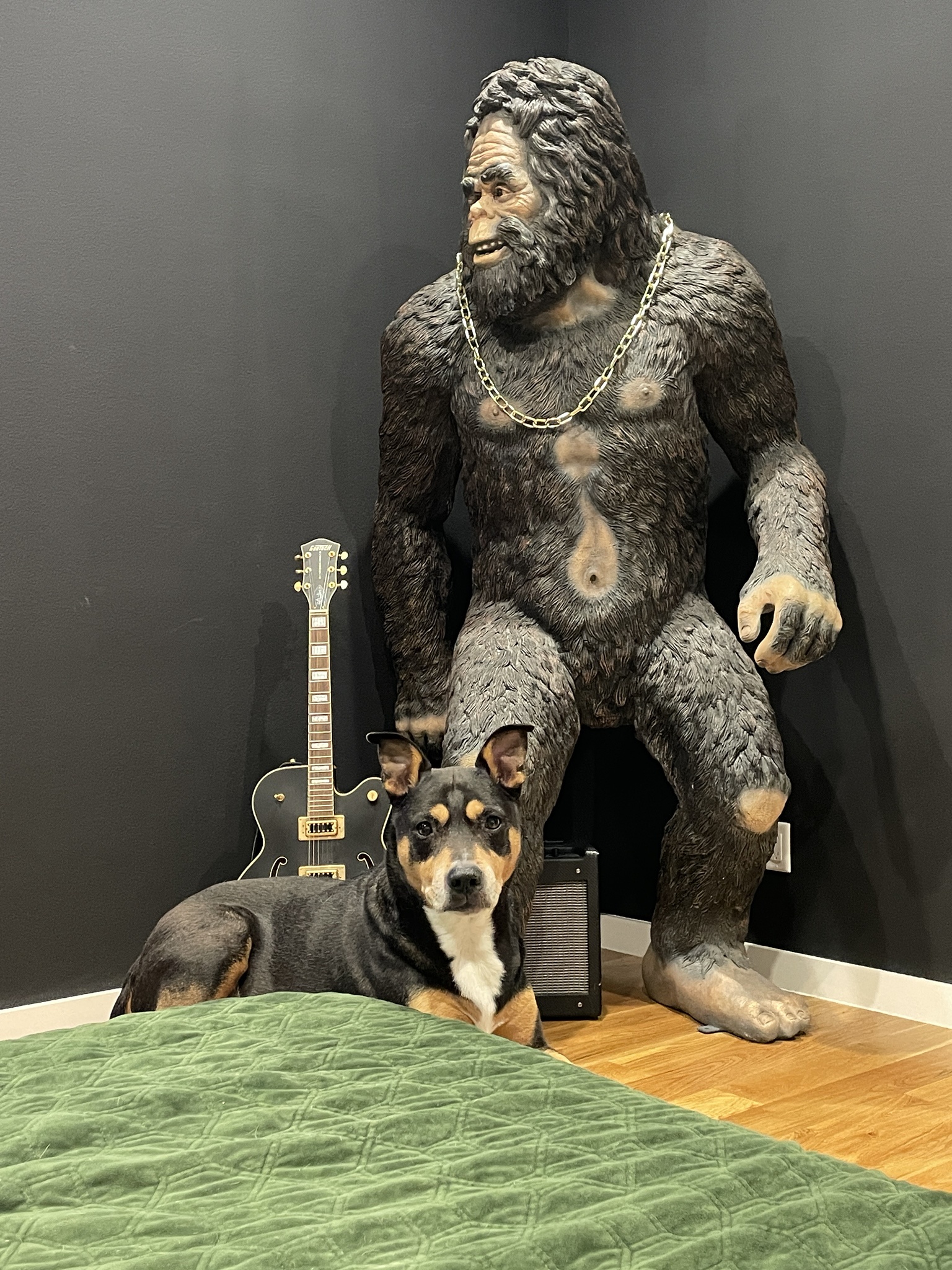 Meet My Home Security Dream Team