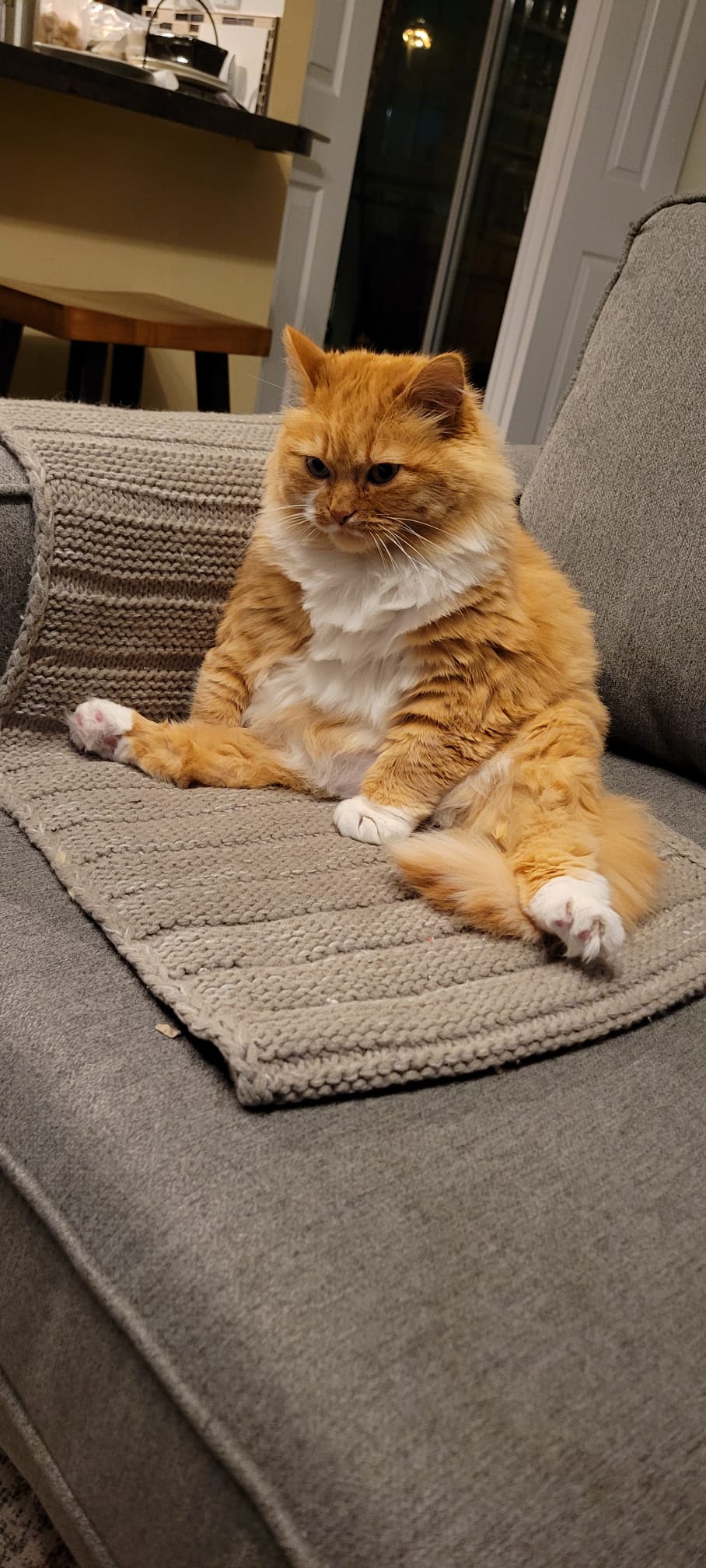Just chilling on a Friday night.