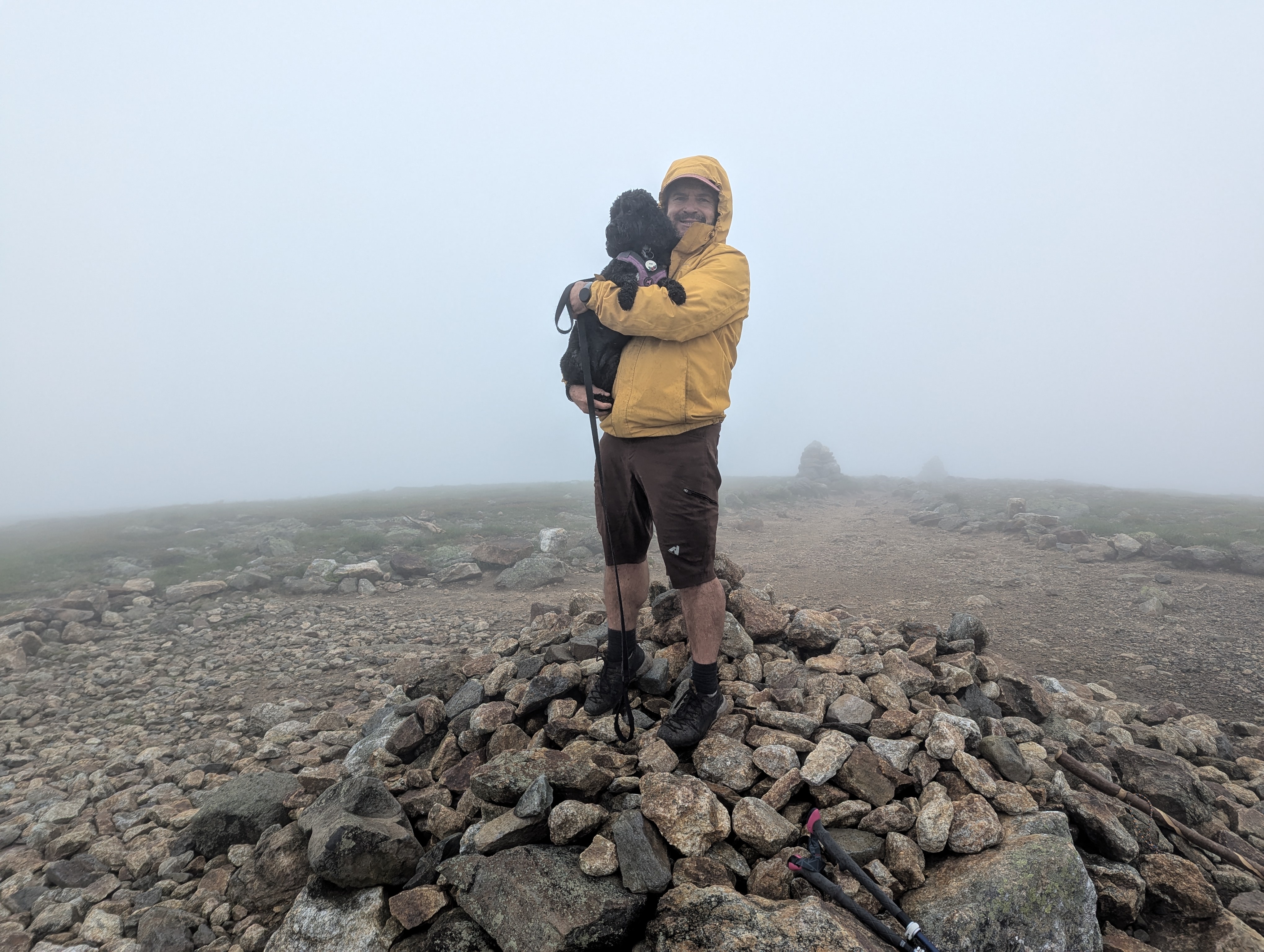 Breathtaking View from the Summit of Mount Eisenhower