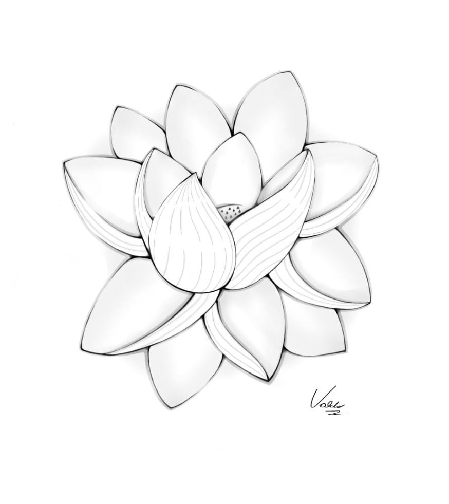 Stunning Lotus Flower - A Digital Masterpiece