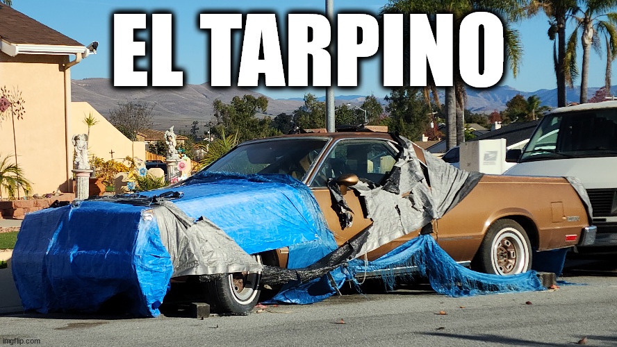 El Tarpino: A Name That Sparks Curiosity