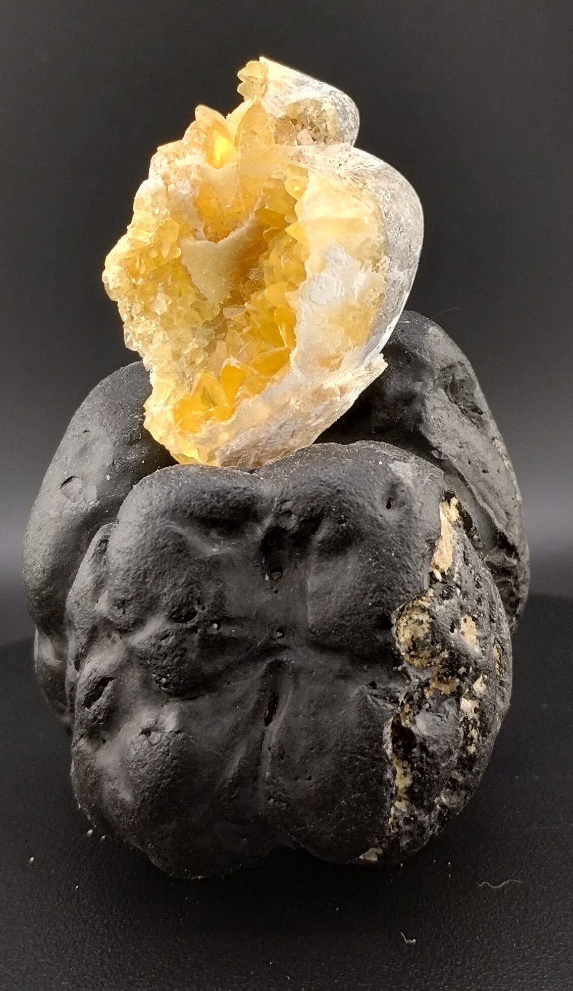 A Fascinating Crystossil: Snail on a Vertebra