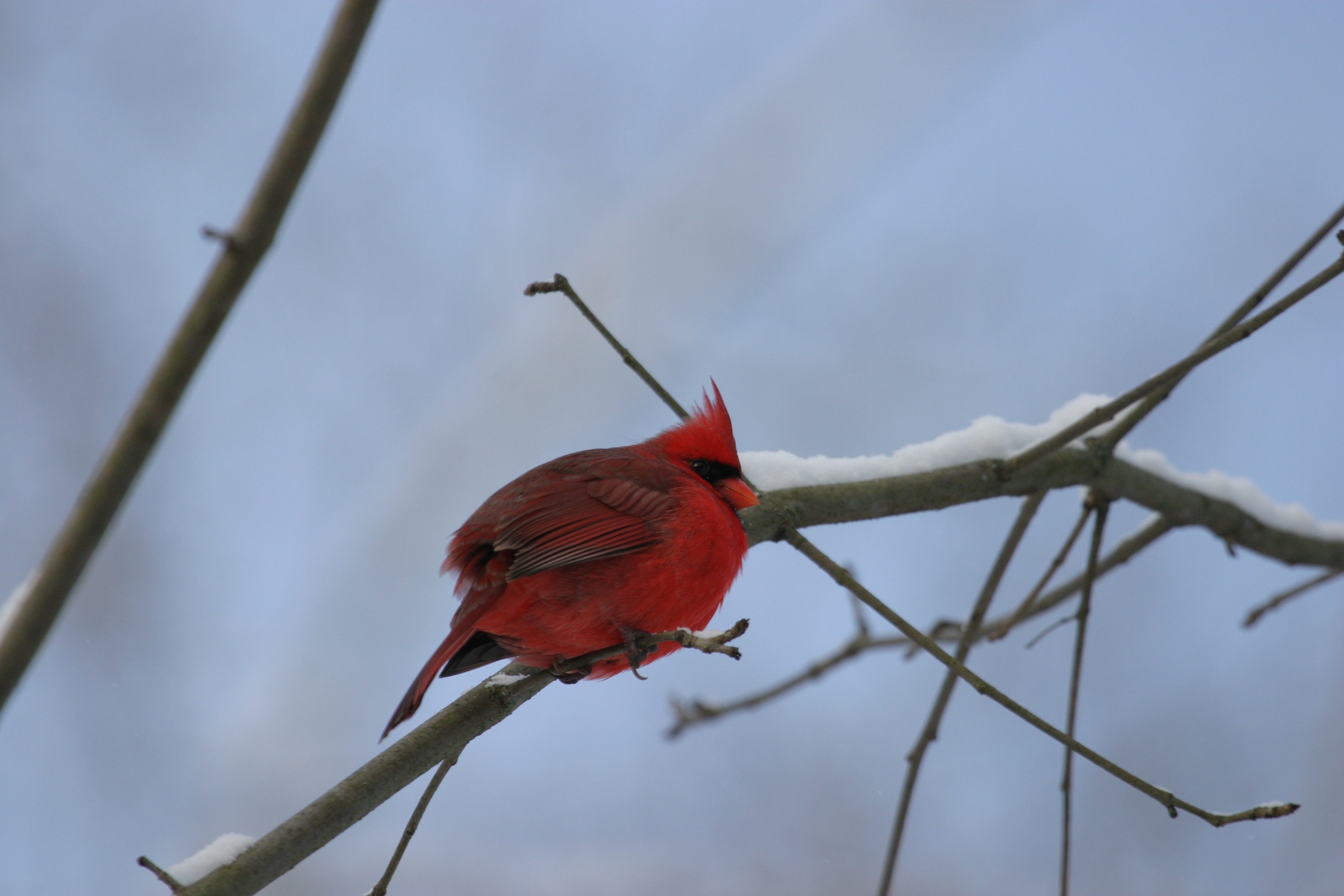 Put on Your Boots and Join Us for a Nature Adventure!