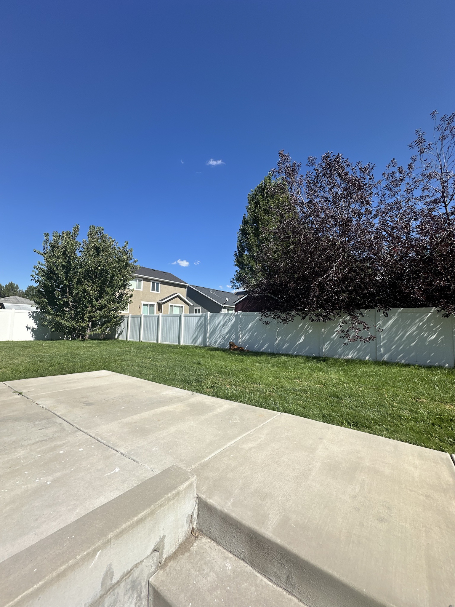 Transforming the Backyard into a Dreamy Oasis