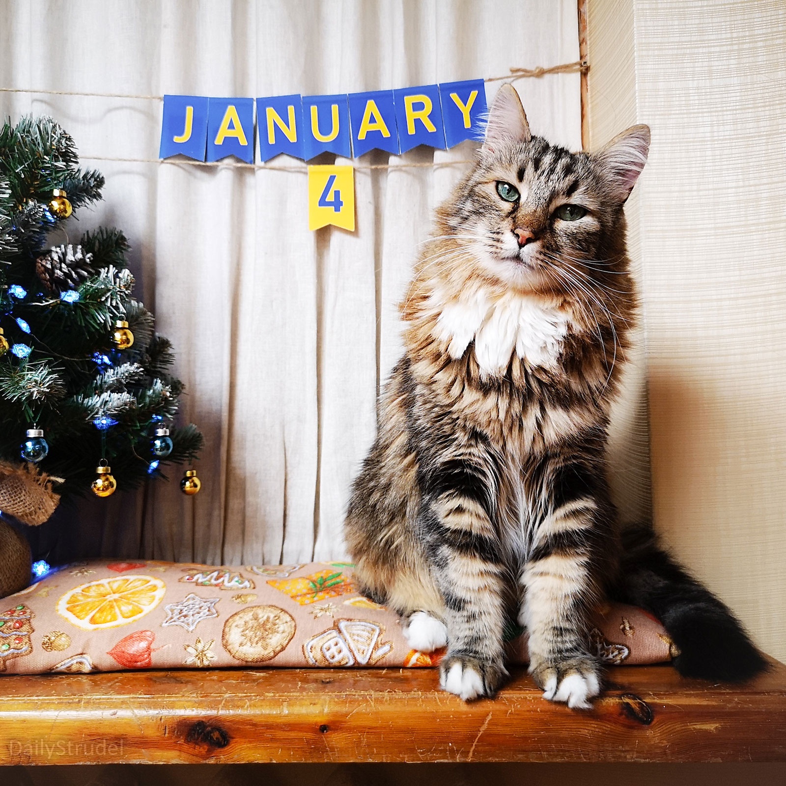 Mark Your Calendars: It's January 4!