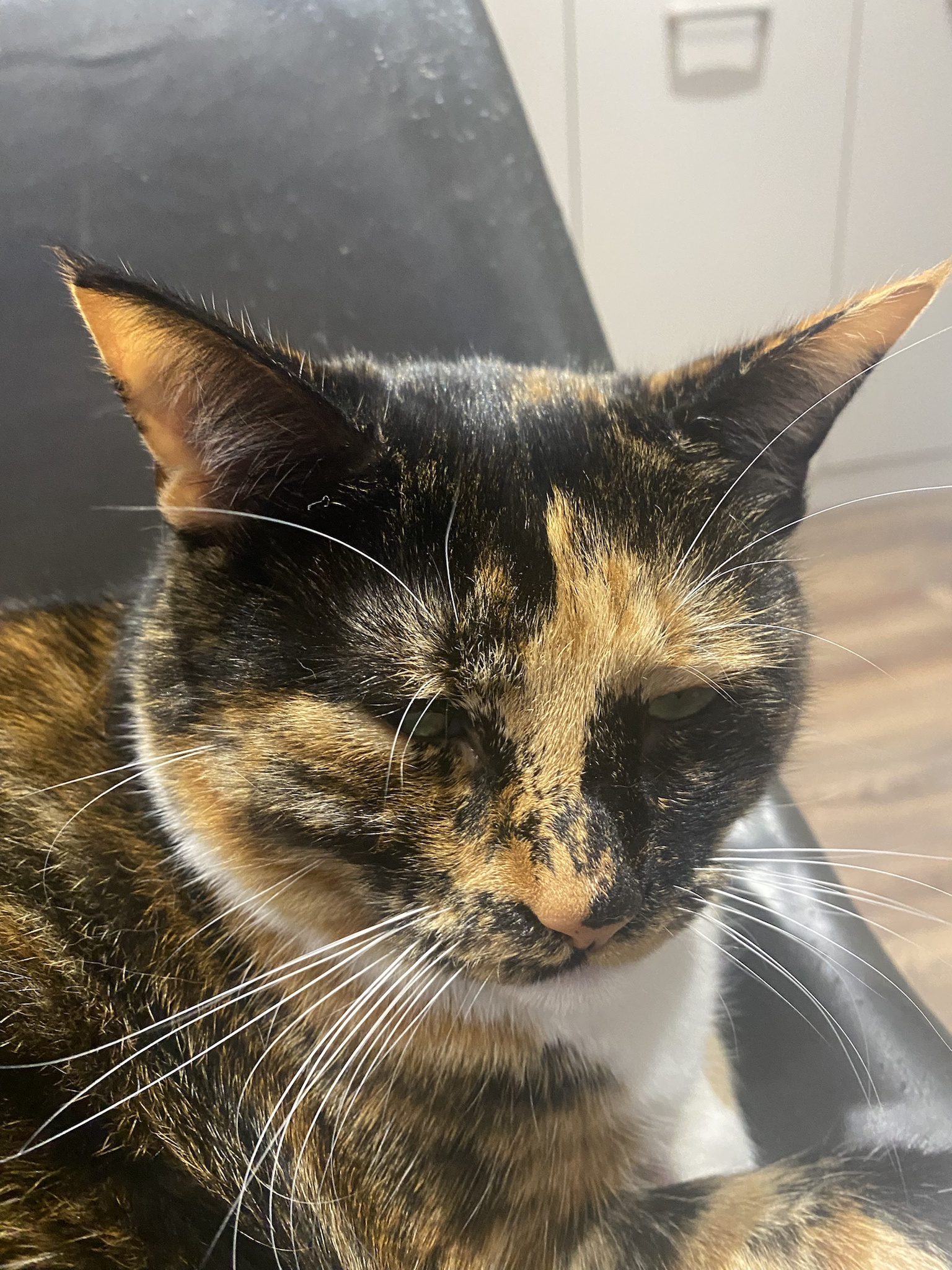 Crumble's daily snapshot of joy