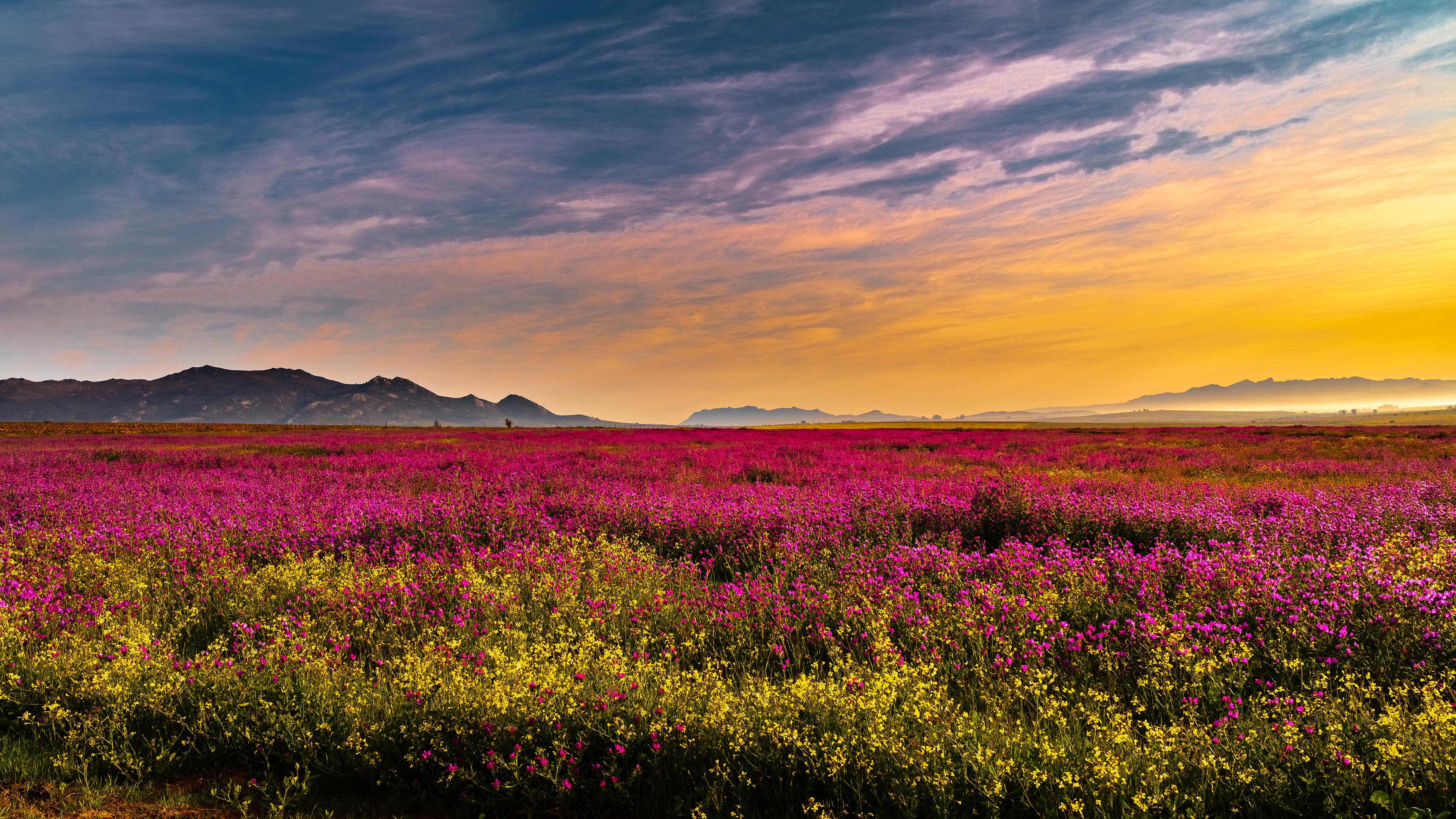 Discovering the Beauty of Pretty Paarl