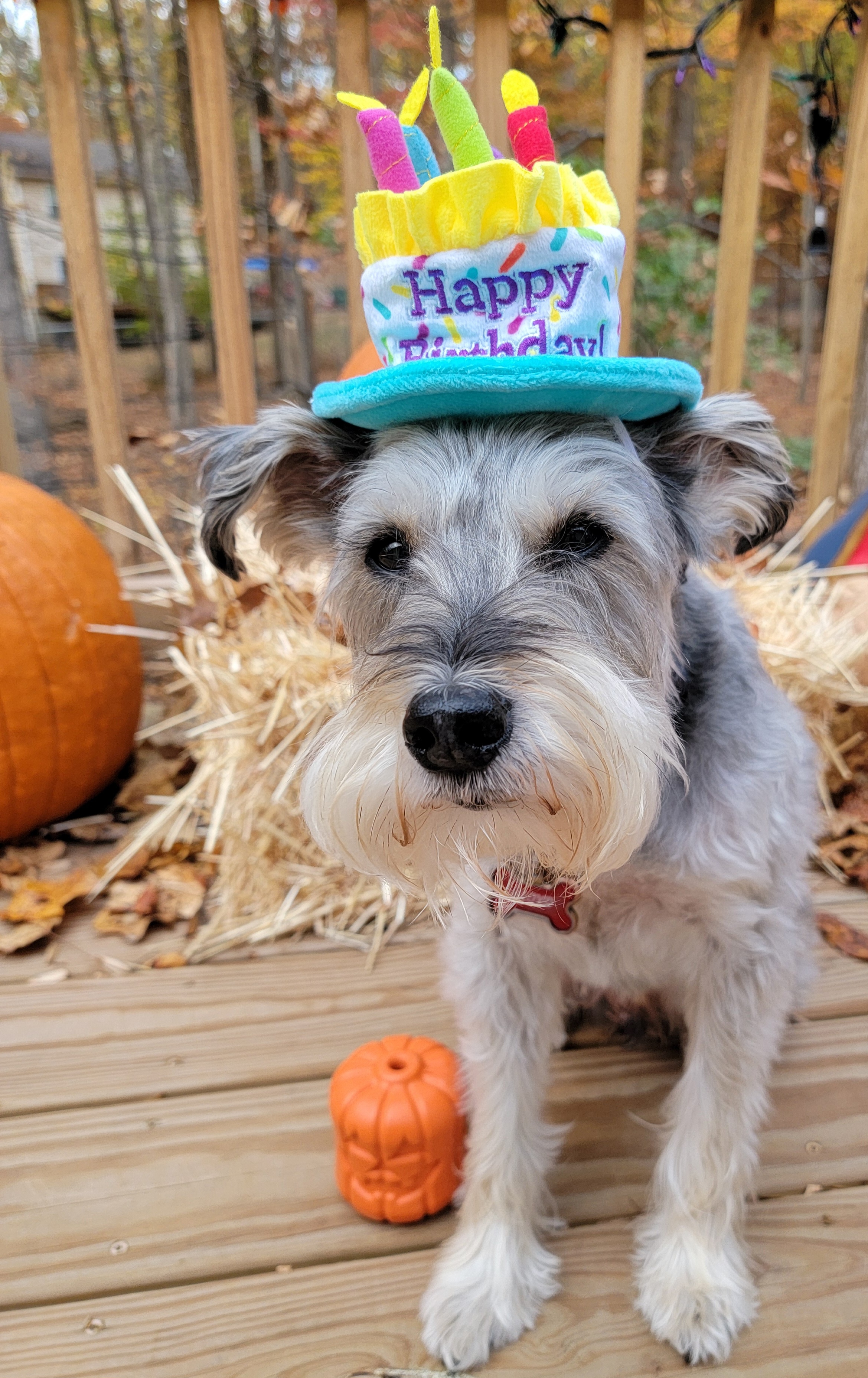 Celebrating the Birthday Boy in Style!