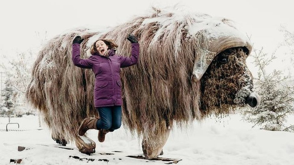 Introducing the Elon Muskox from Yellowknife, Canada