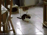 Dive into the Retro GIF Collection: Part 16!