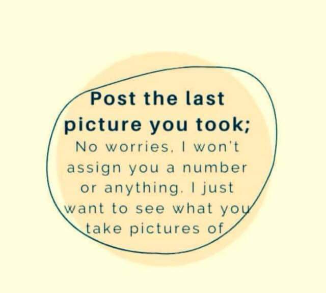 Share the Last Photo You Captured