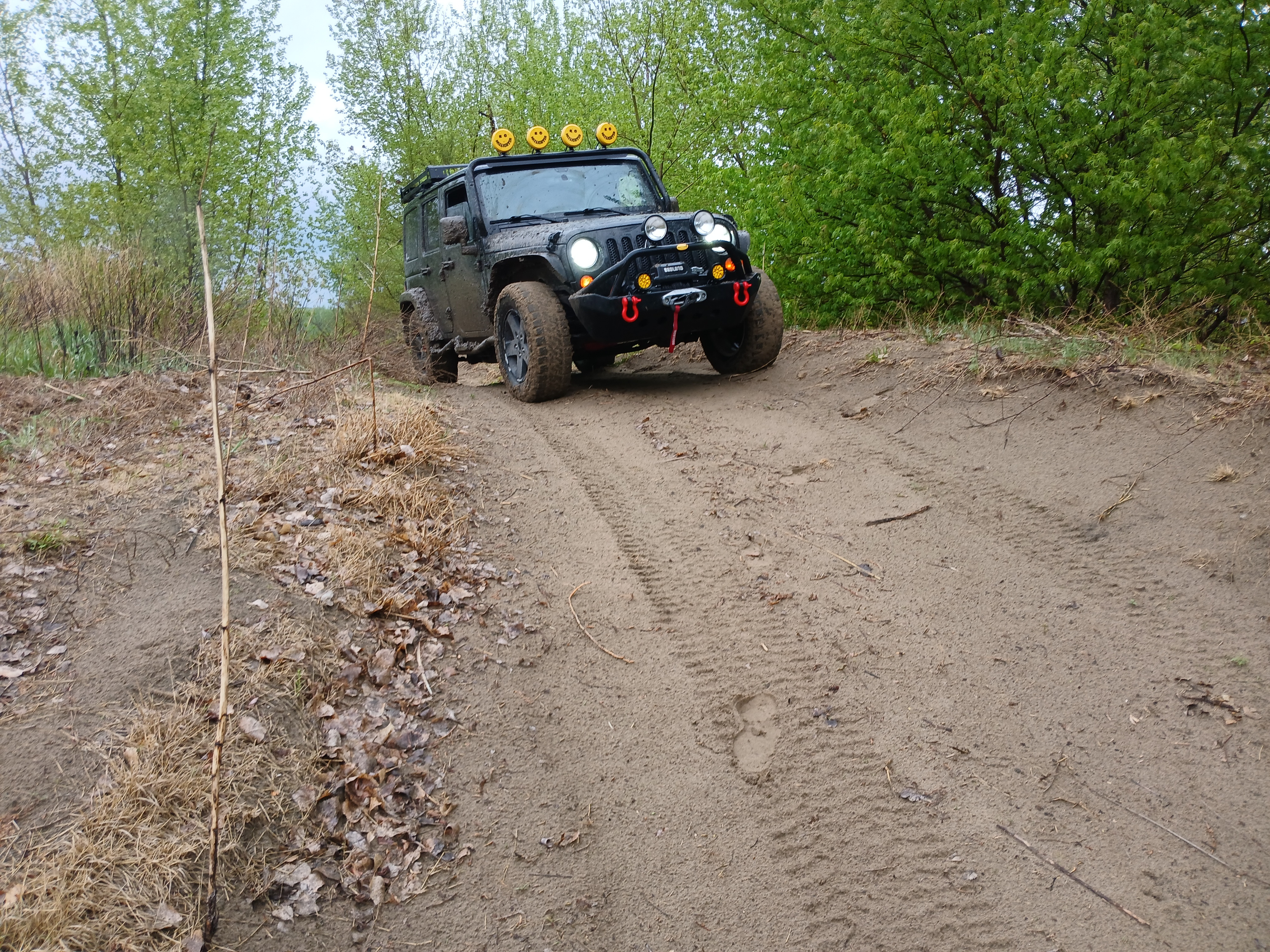Sharing My Beloved Jeep: A Few Pics for the Car Meet!
