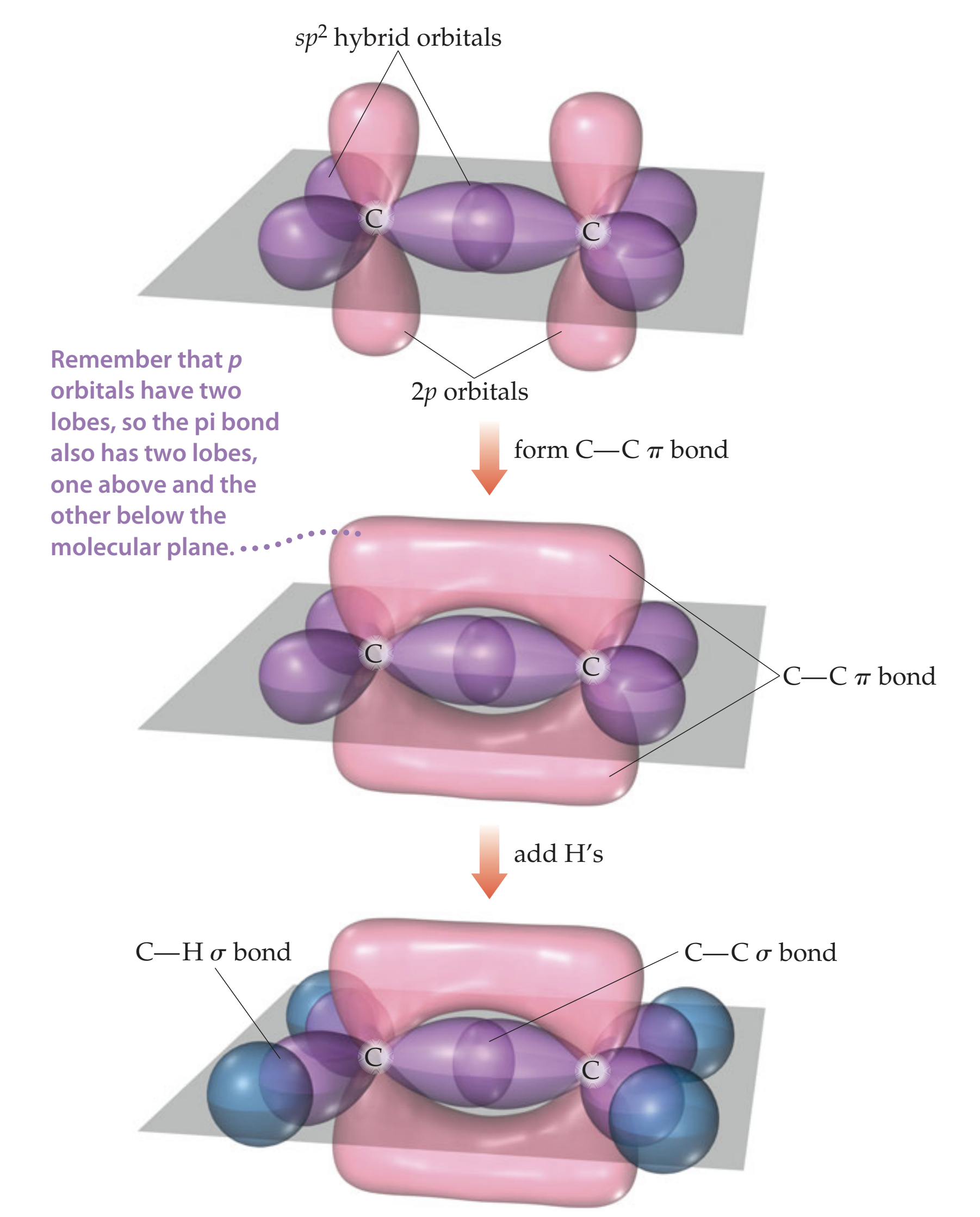 Exploring the Mysteries of Orbitals