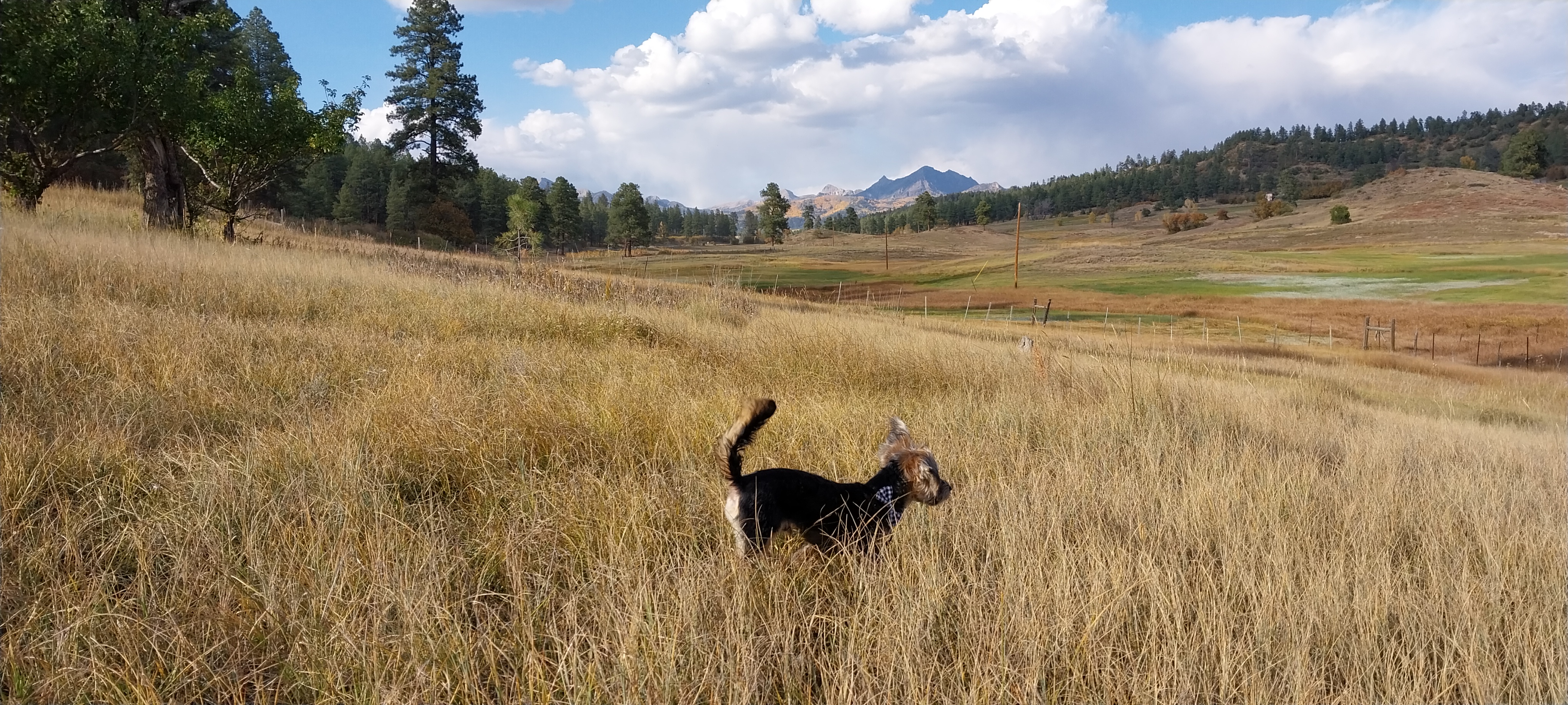Exploring the Beauty and Wonders of Colorado