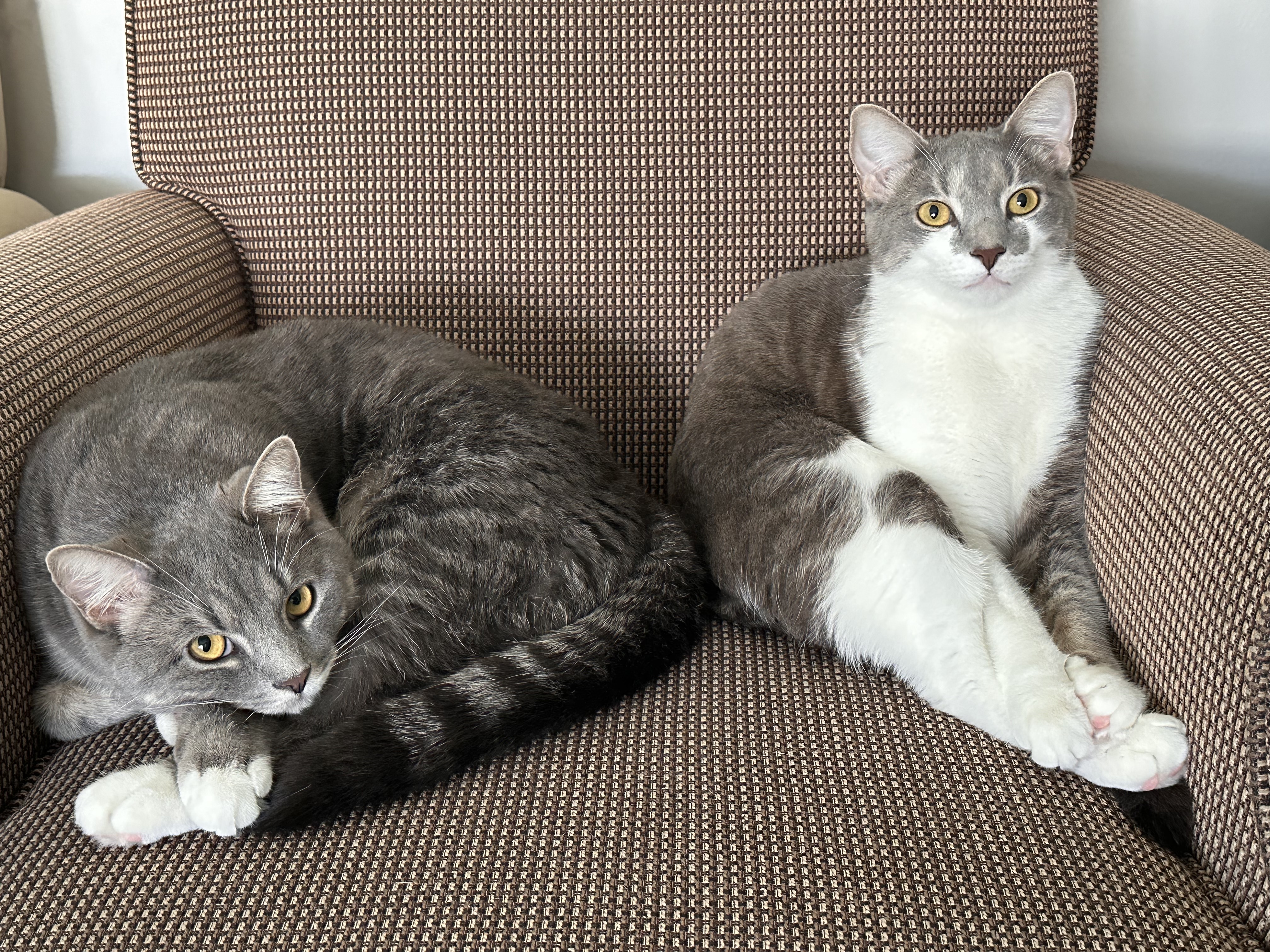 The Legendary Duo: Butch and Sundance