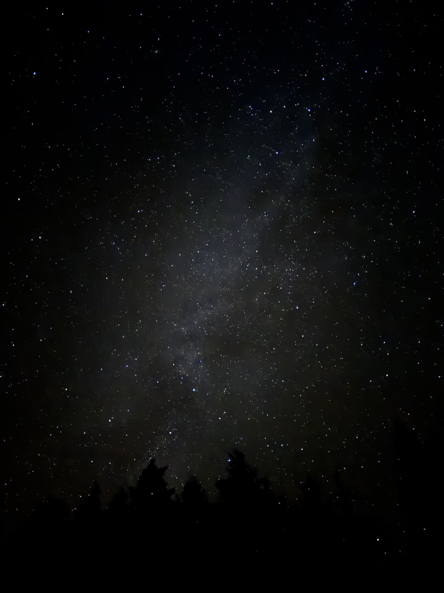 A PNW Twist on Starry Night