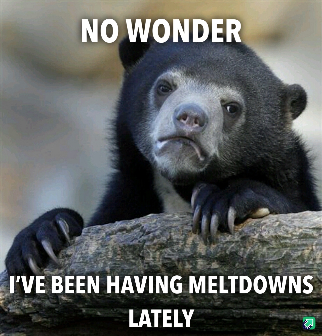The Struggles of #PMS: A Universal Experience