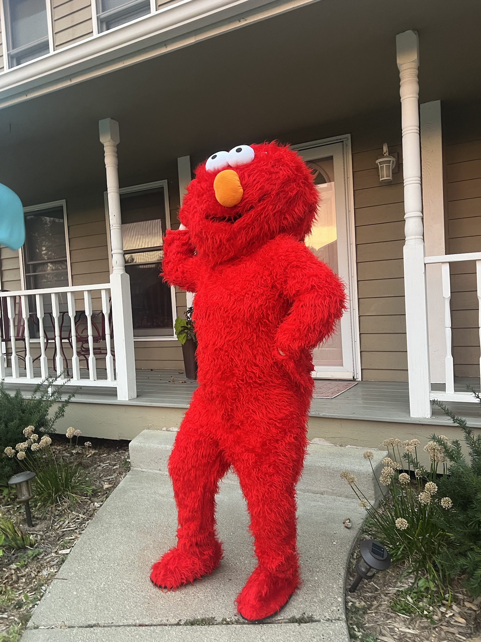 Scored an Elmo costume at Goodwill for just $13!