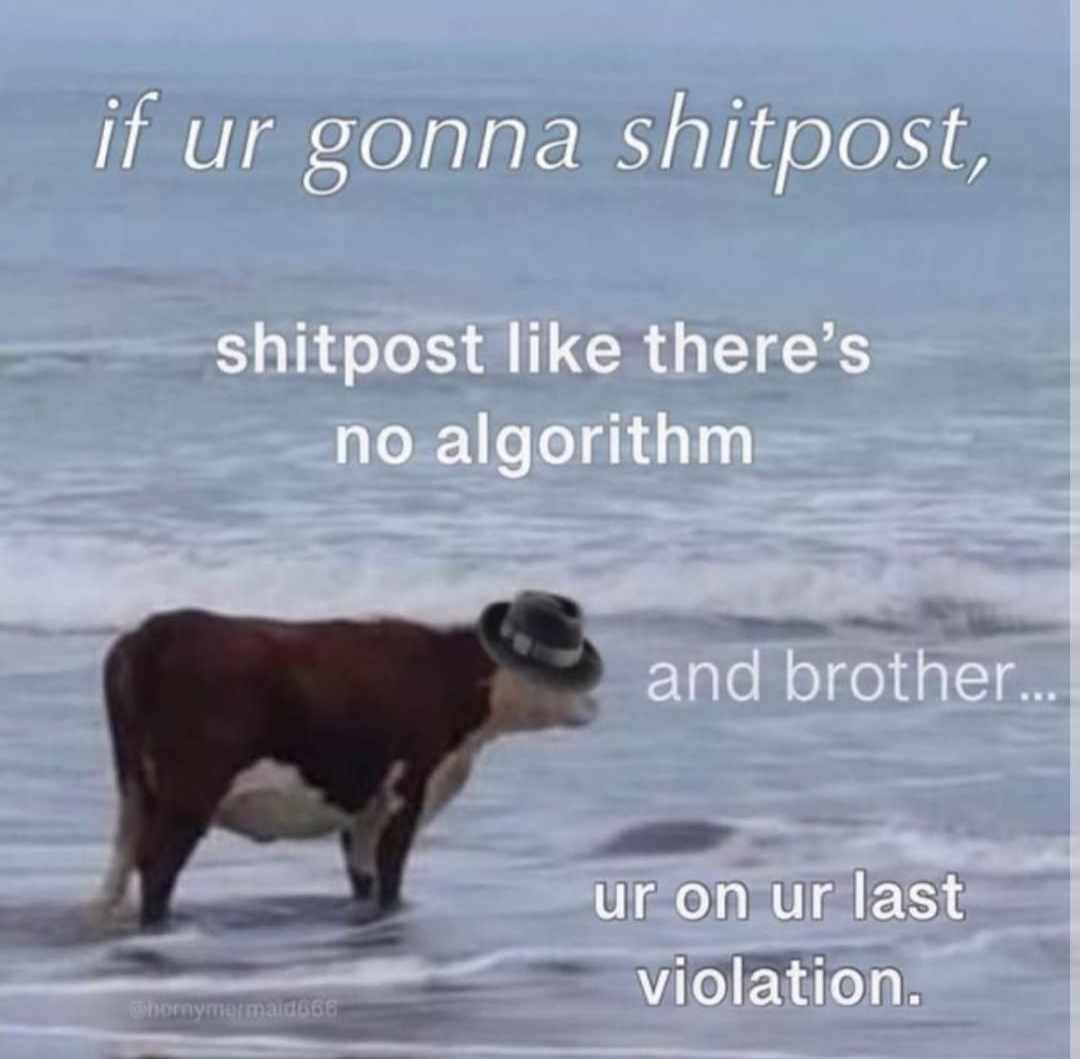 As If There’s No Algorithm at Play