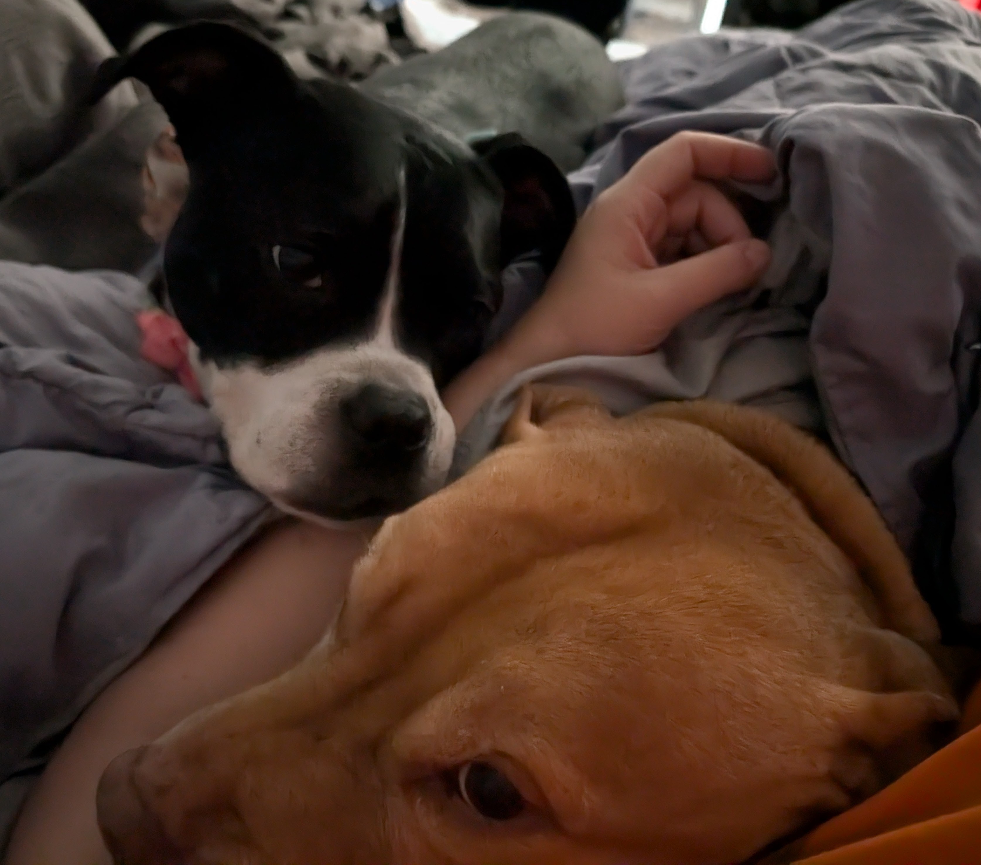 Lazy Saturday Mornings Are the Best