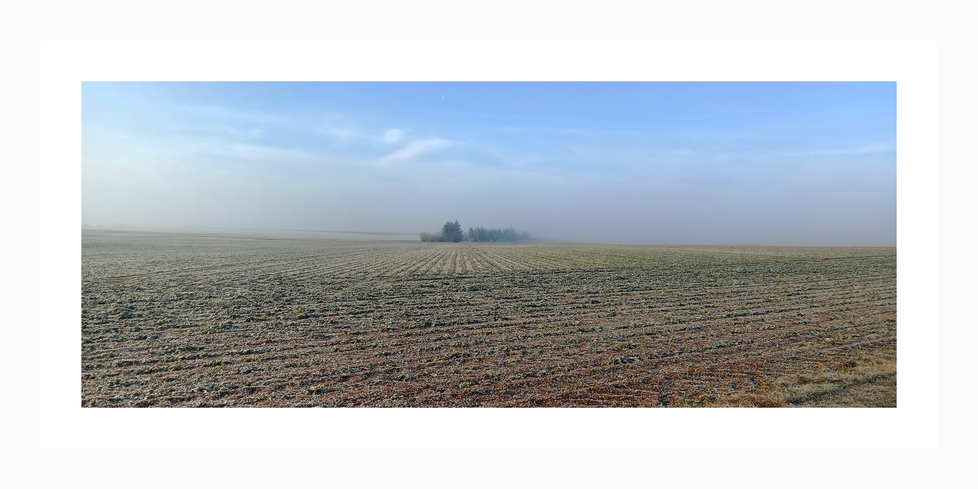 This Morning's Scene at the Exit of Champigny-en-Rochereau, France (Vienne Department, 01/25)