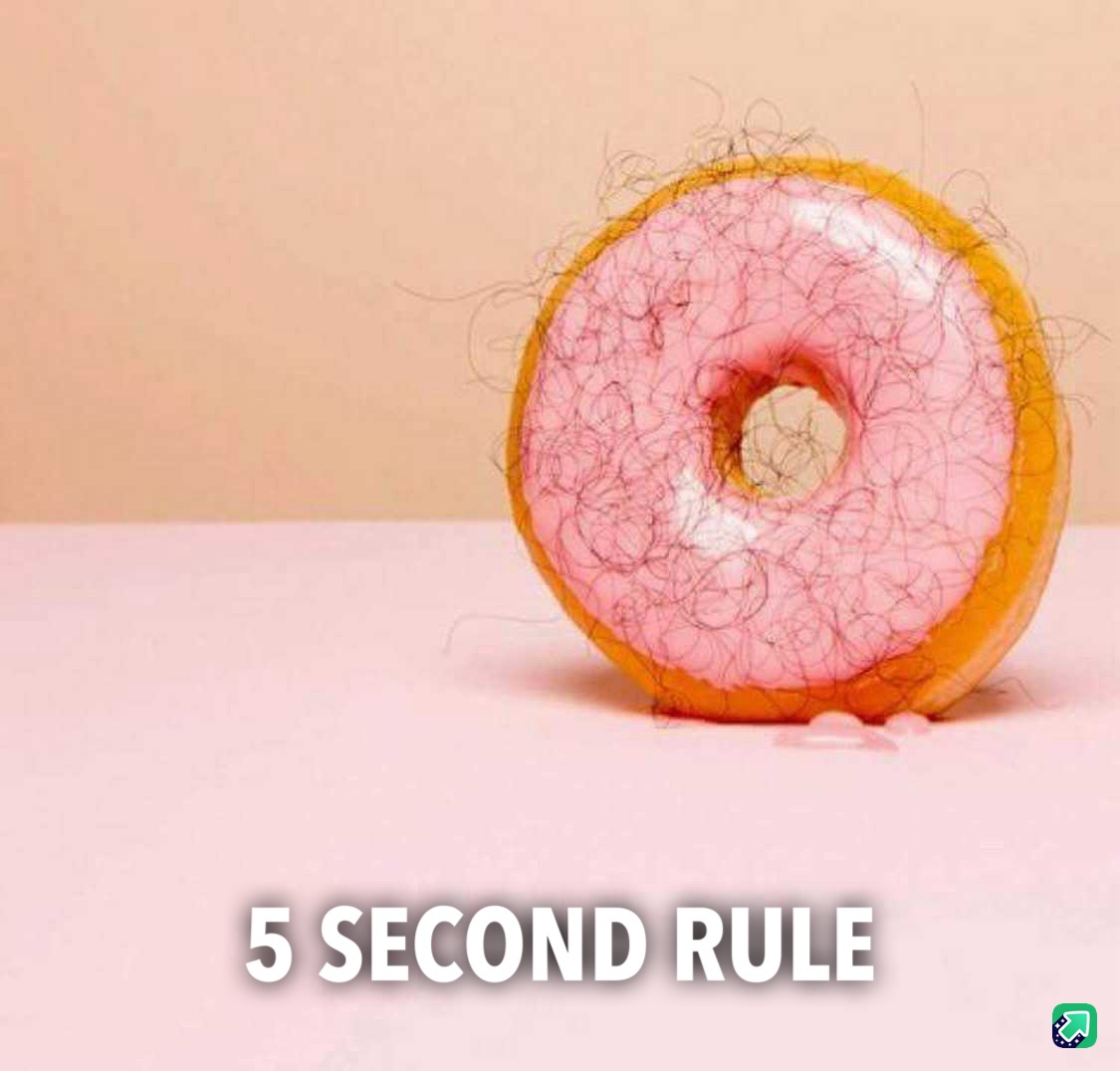 Celebrating Cake Day 9.0: A Sweet Tradition