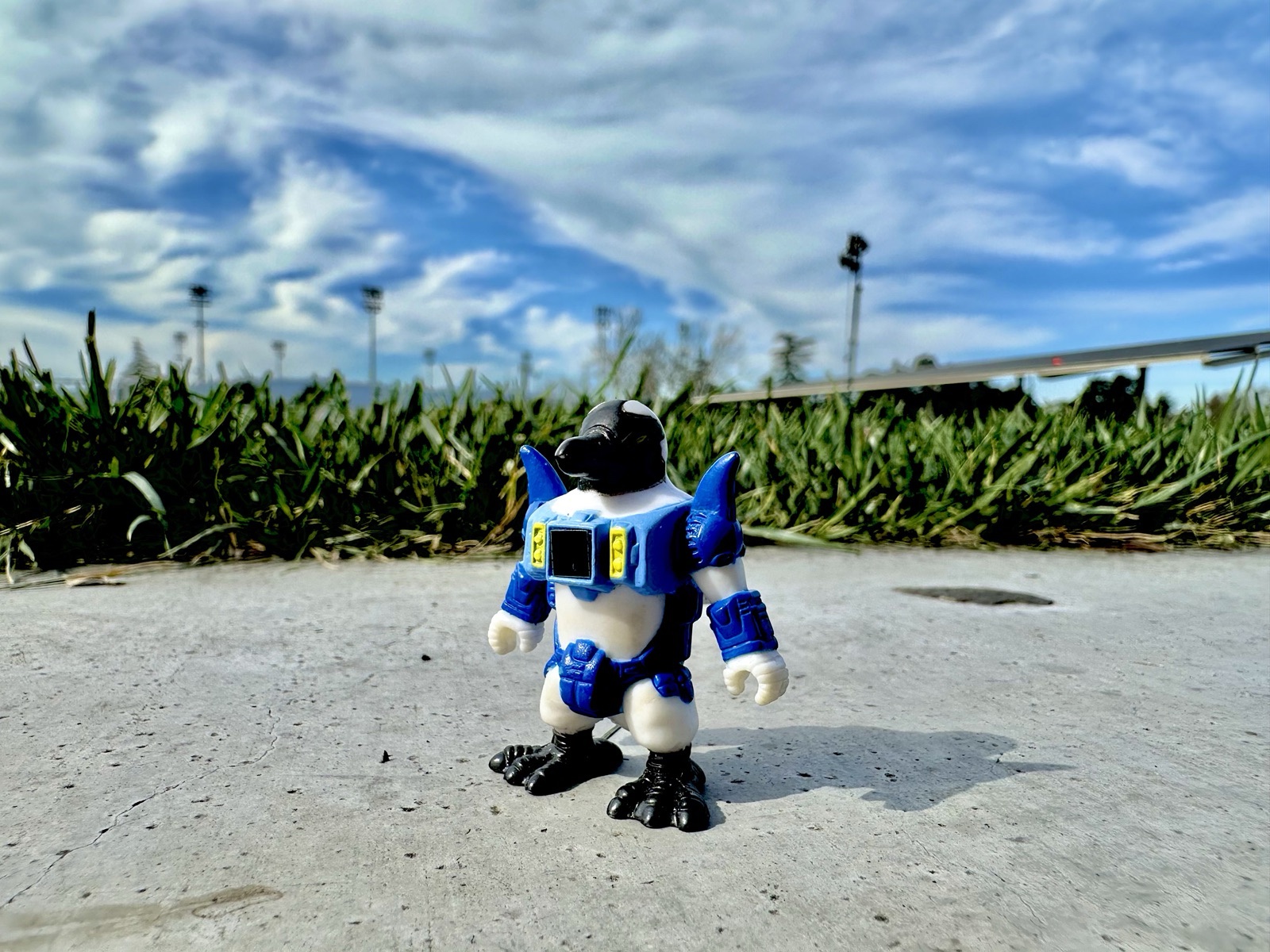 Daily Dose of Toy or Minifigure Photography