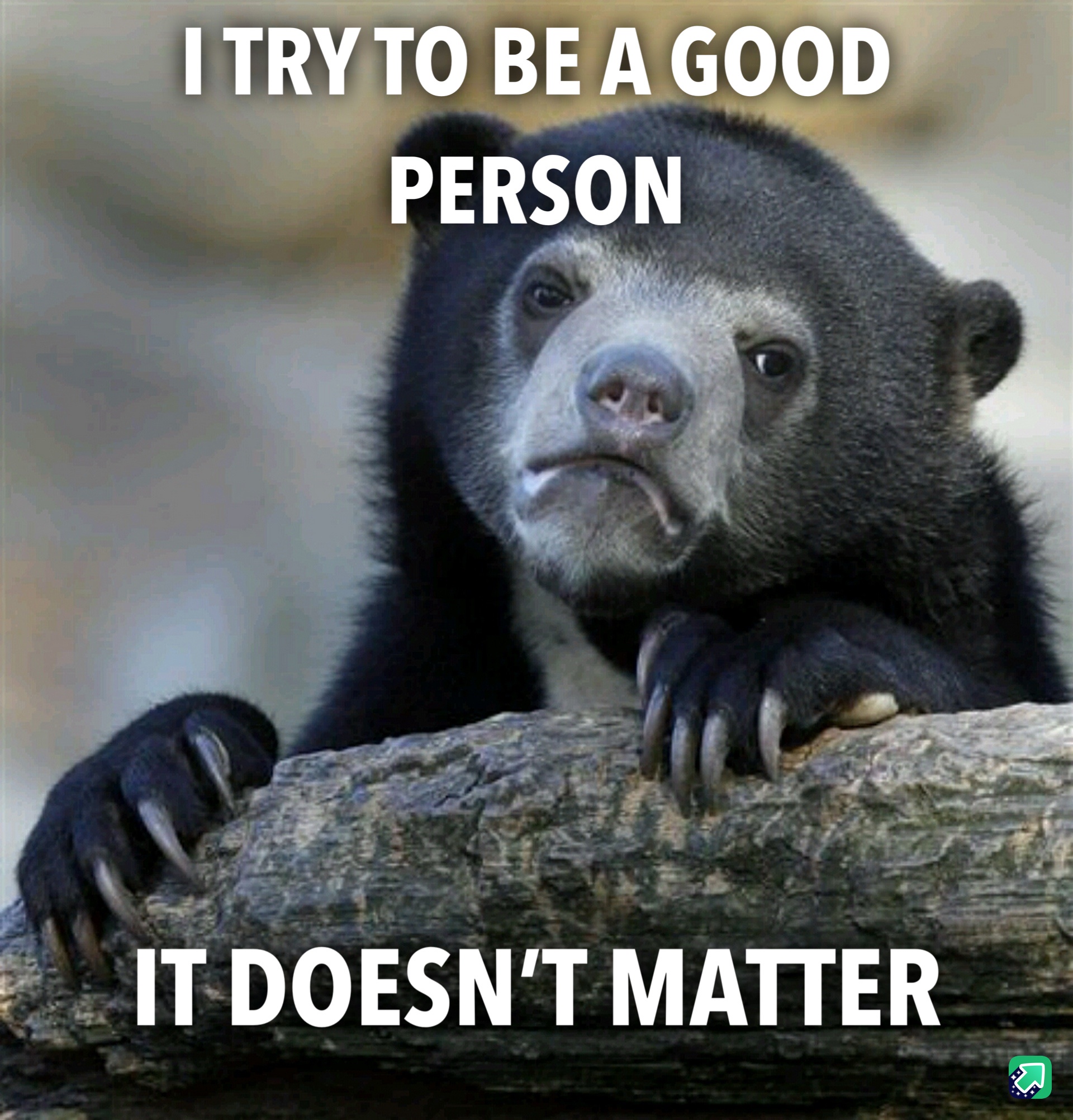 It just doesn't matter anymore