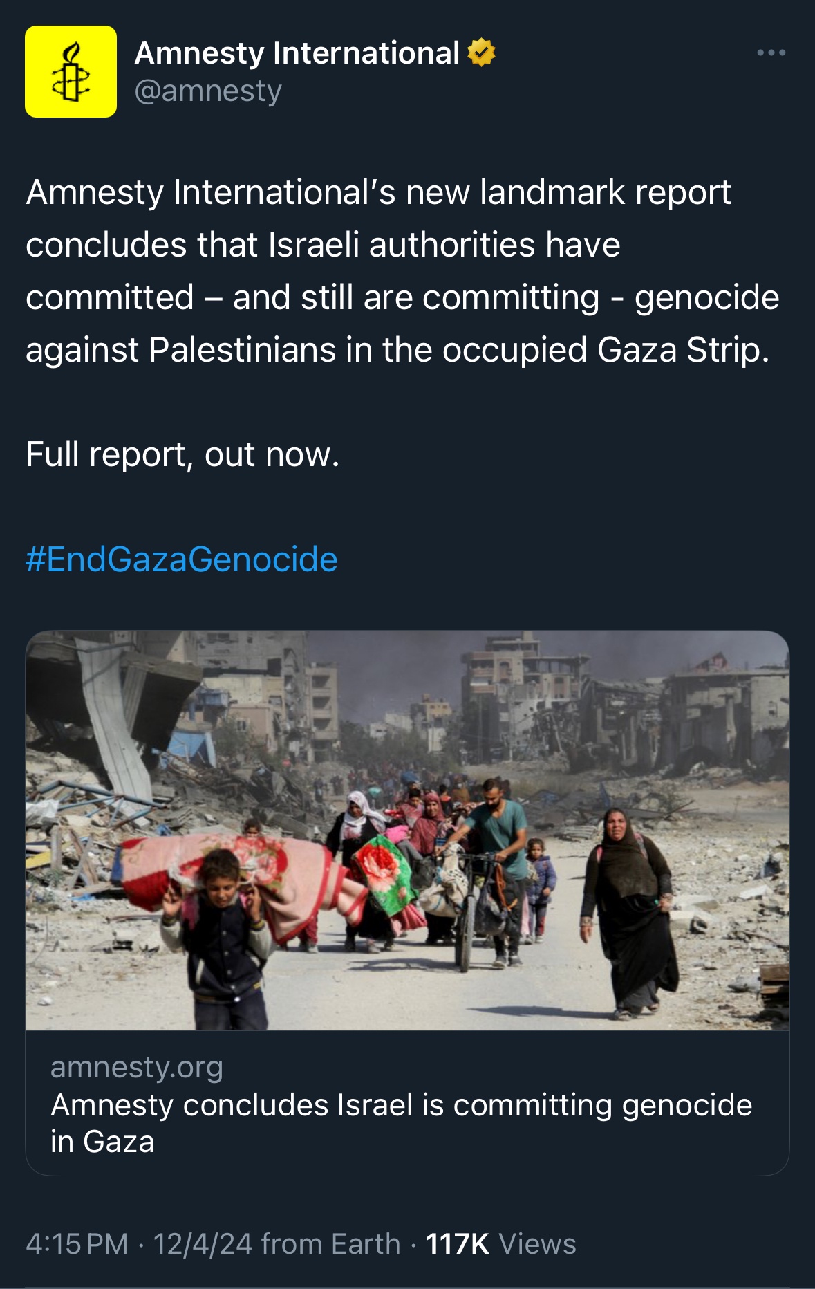 Amnesty International's Alarming Findings on Israel's Actions in Gaza