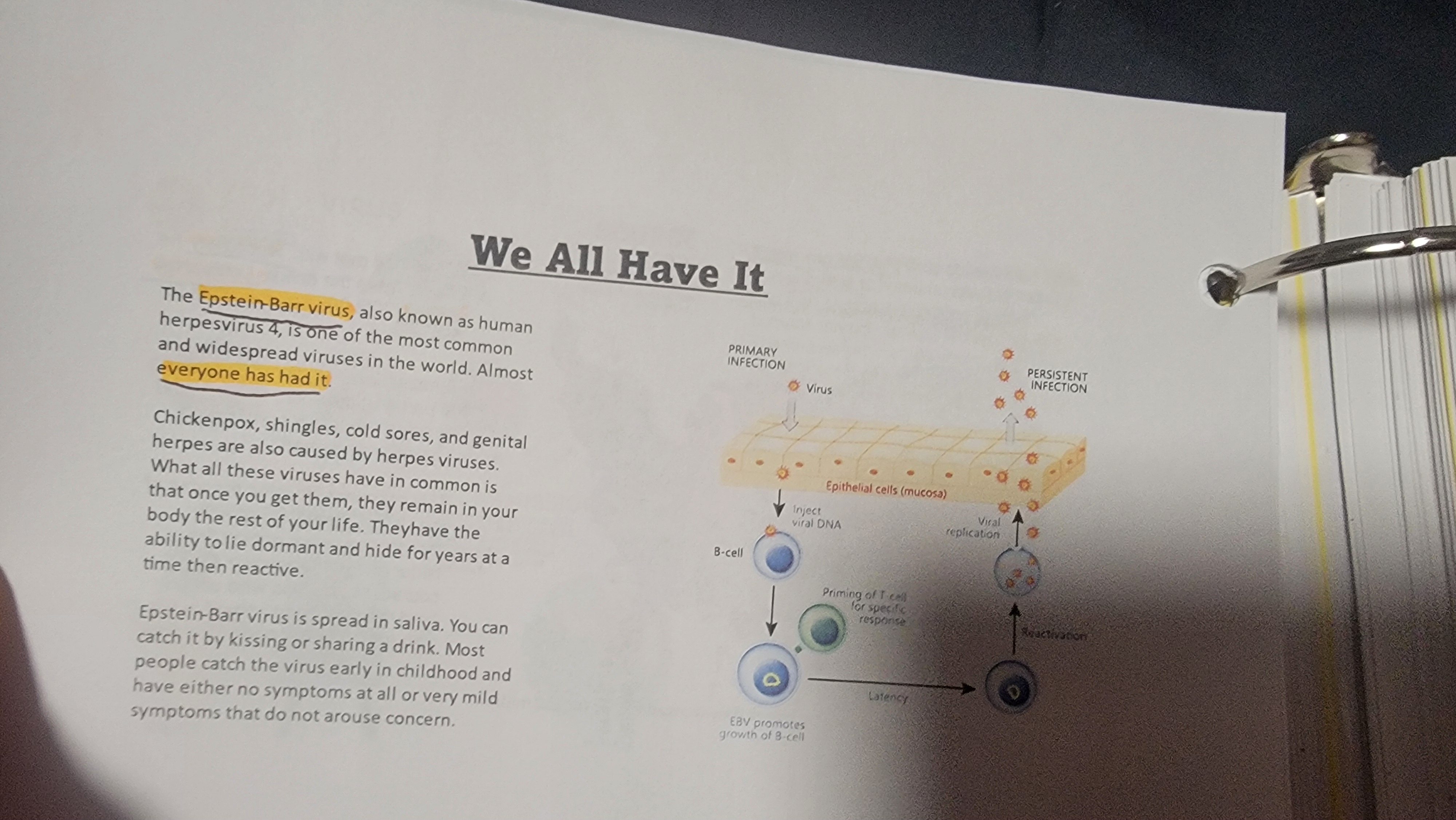 The ultimate college notes compilation