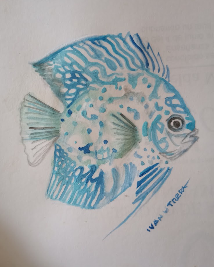 Just a fish, but it’s still captivating!